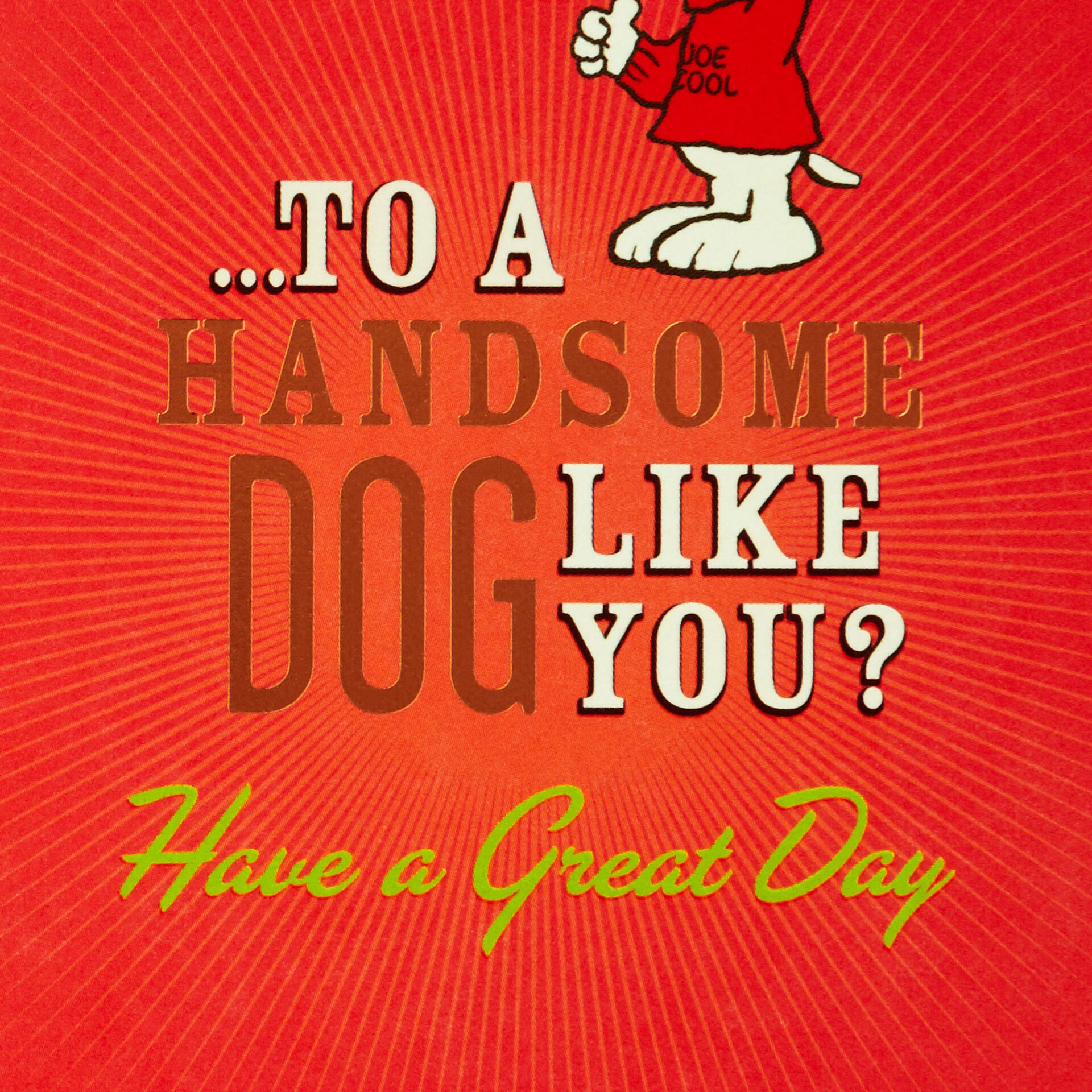 Snoopy-Handsome-Dog-Birthday-Card-for-Him_459HBD3944_02