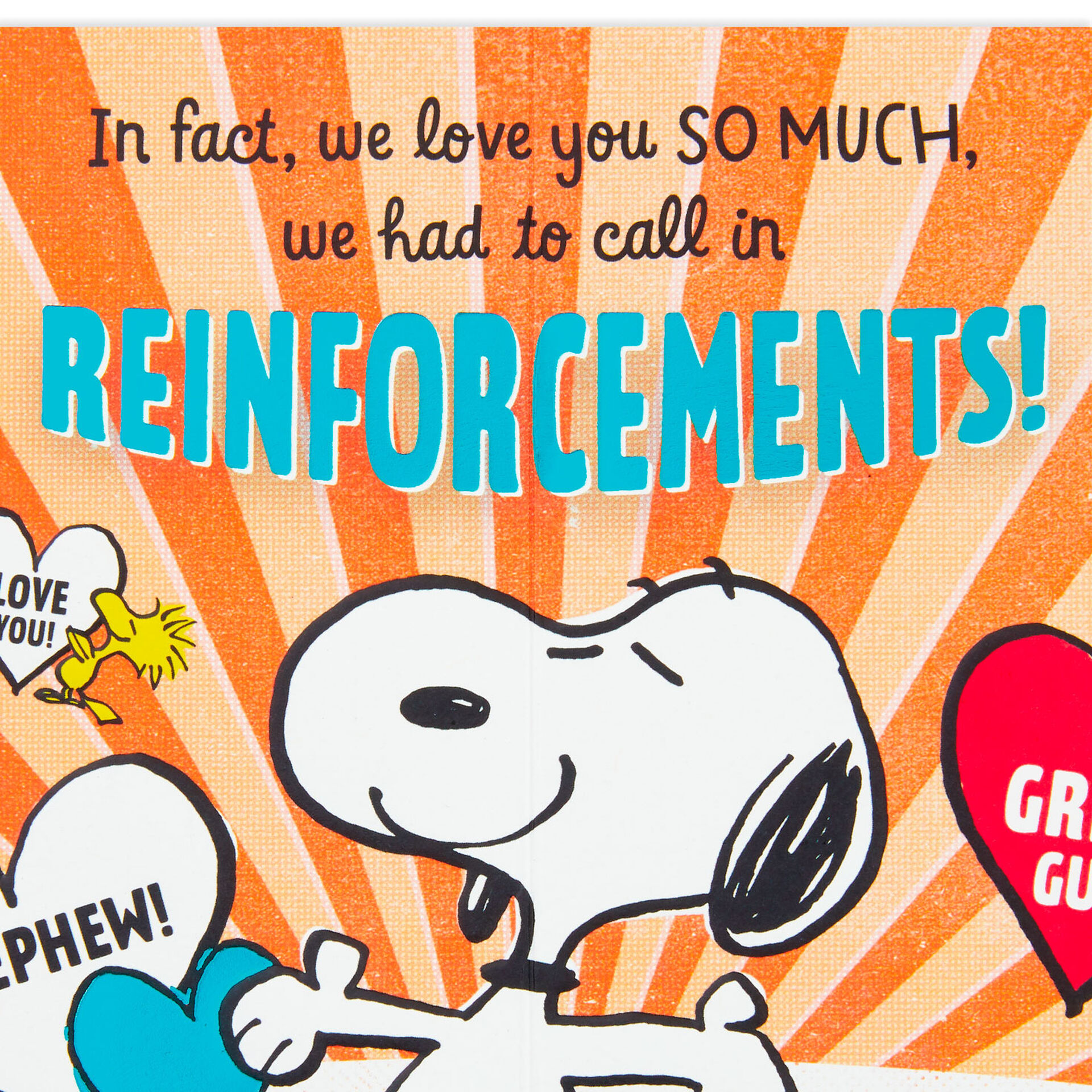 Snoopy-&-Woodstock-Hearts-Birthday-Card-for-Nephew_399MAN3965_02