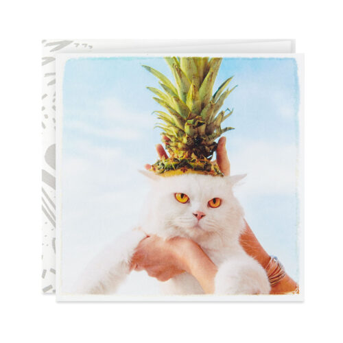 Sourpuss-Cat-Wearing-Pineapple-Hat-Birthday-Card_359YYB1195_01