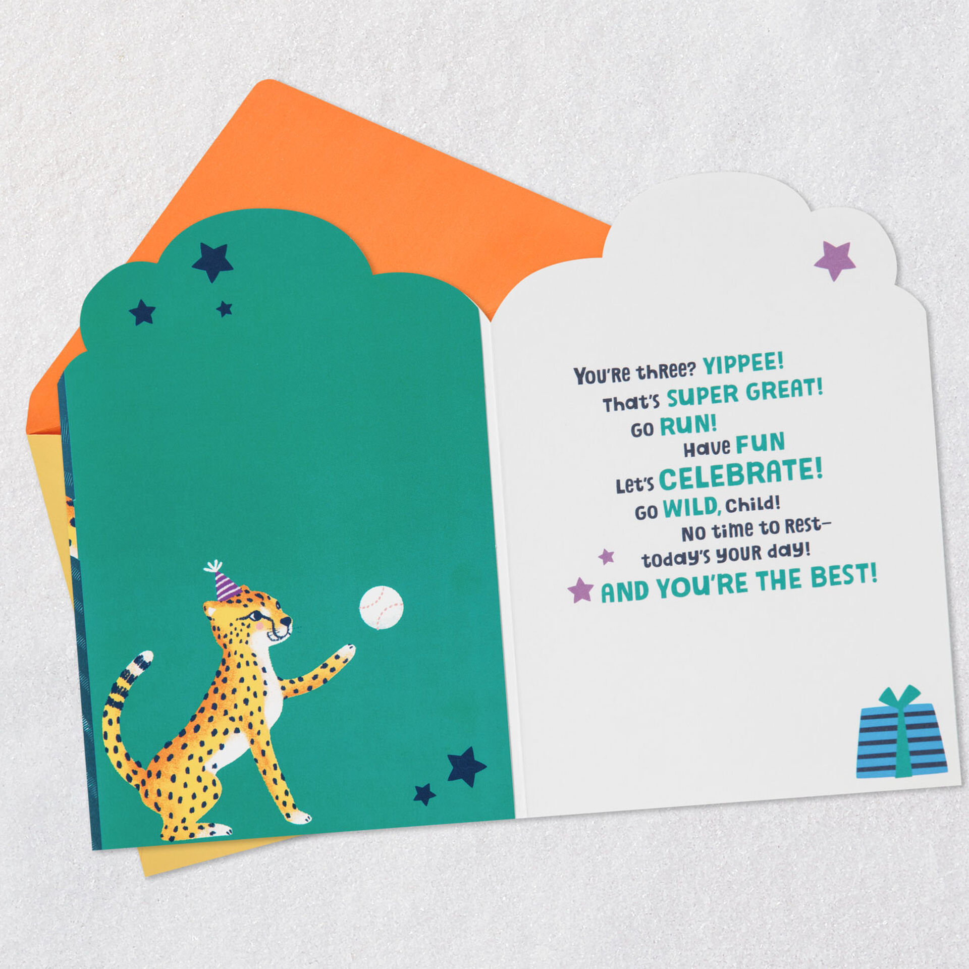 Sports-Cheetahs-3rd-Birthday-Card_399HKB6144_03