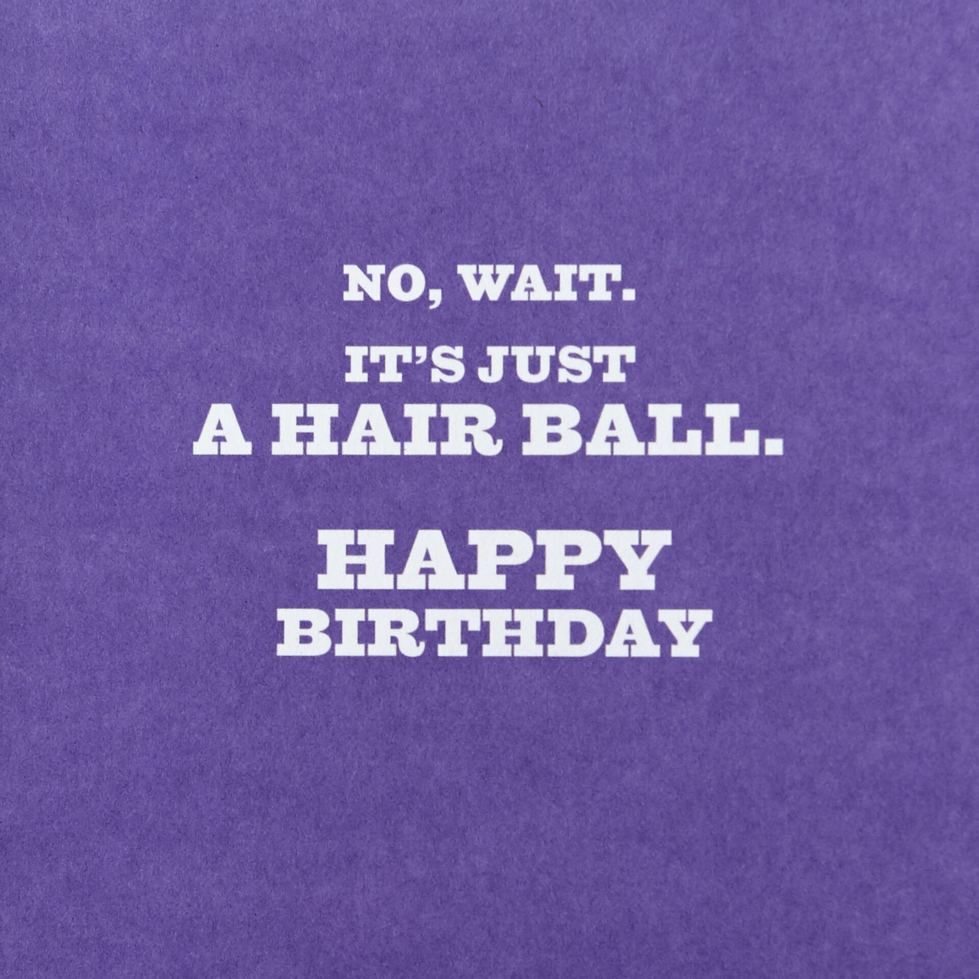 Star-Wars-Darth-Vader-Kitty-Funny-Birthday-Card_499HBD3749_02
