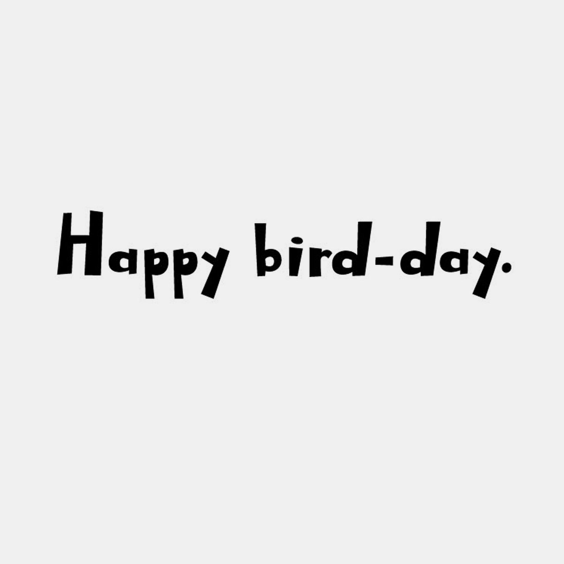 Suggestive-Bird-Names-Funny-Birthday-Card_369ZZB9153_02
