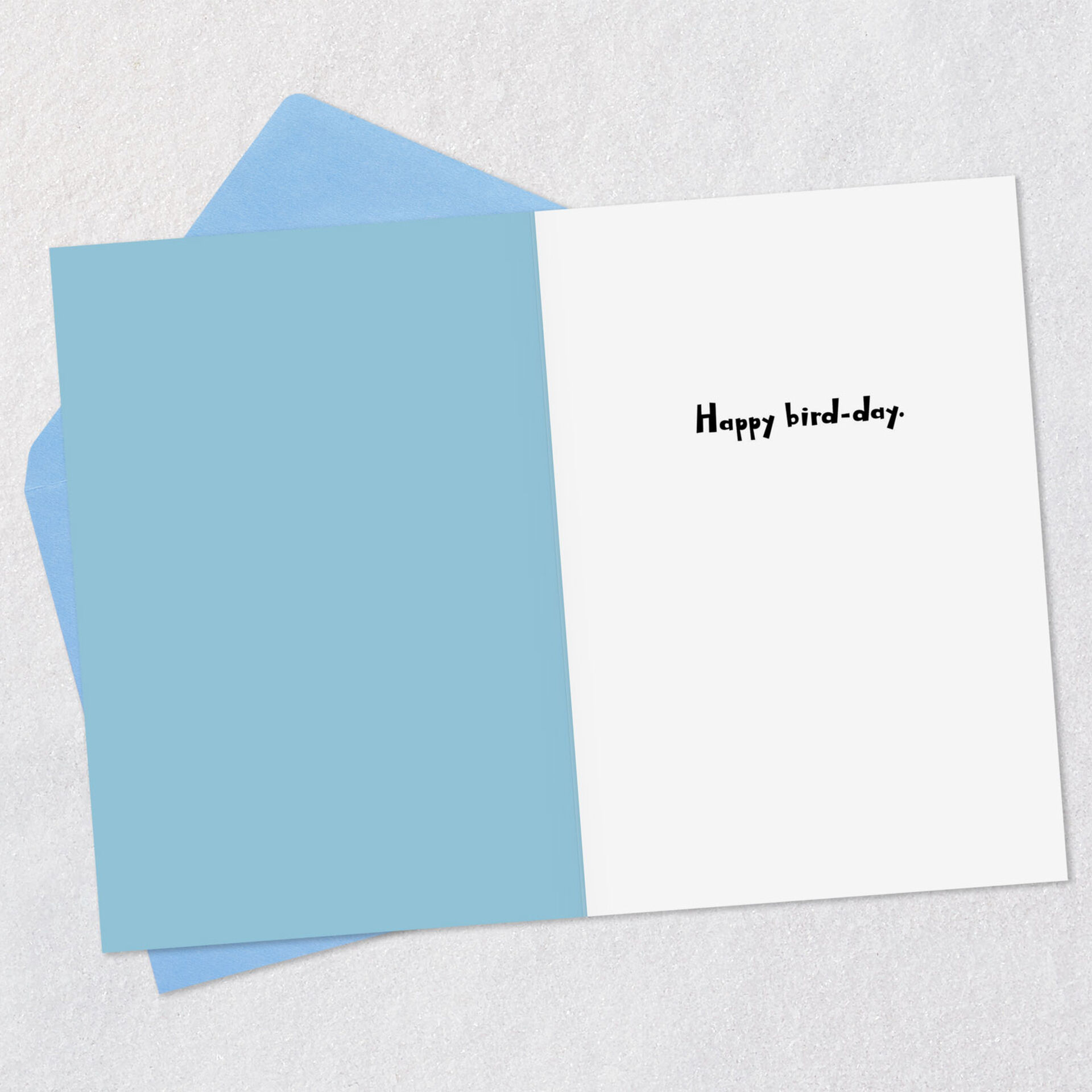 Suggestive-Bird-Names-Funny-Birthday-Card_369ZZB9153_03