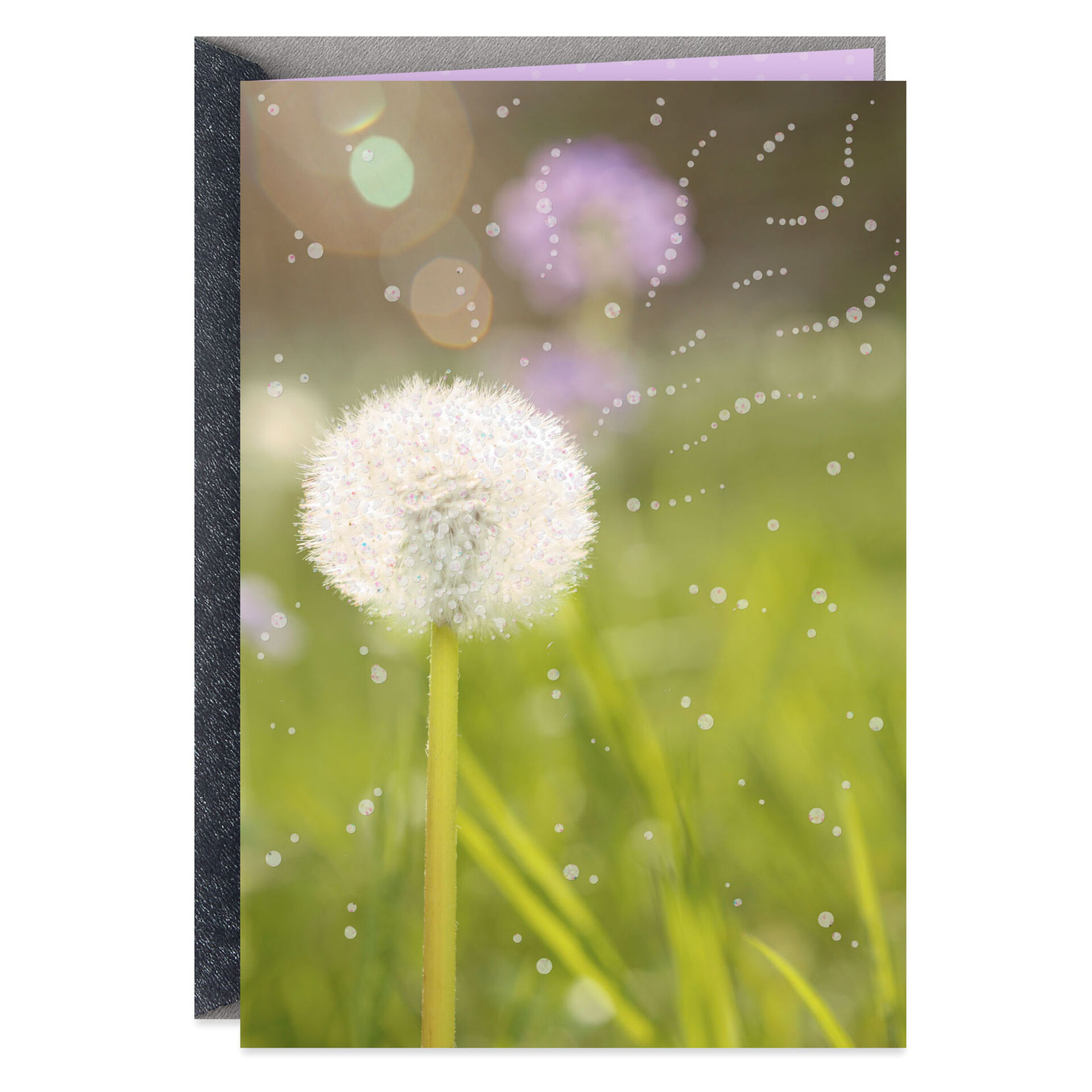 Summer-Dandelion-Bloom-Blank-Card_299IMP1501_01