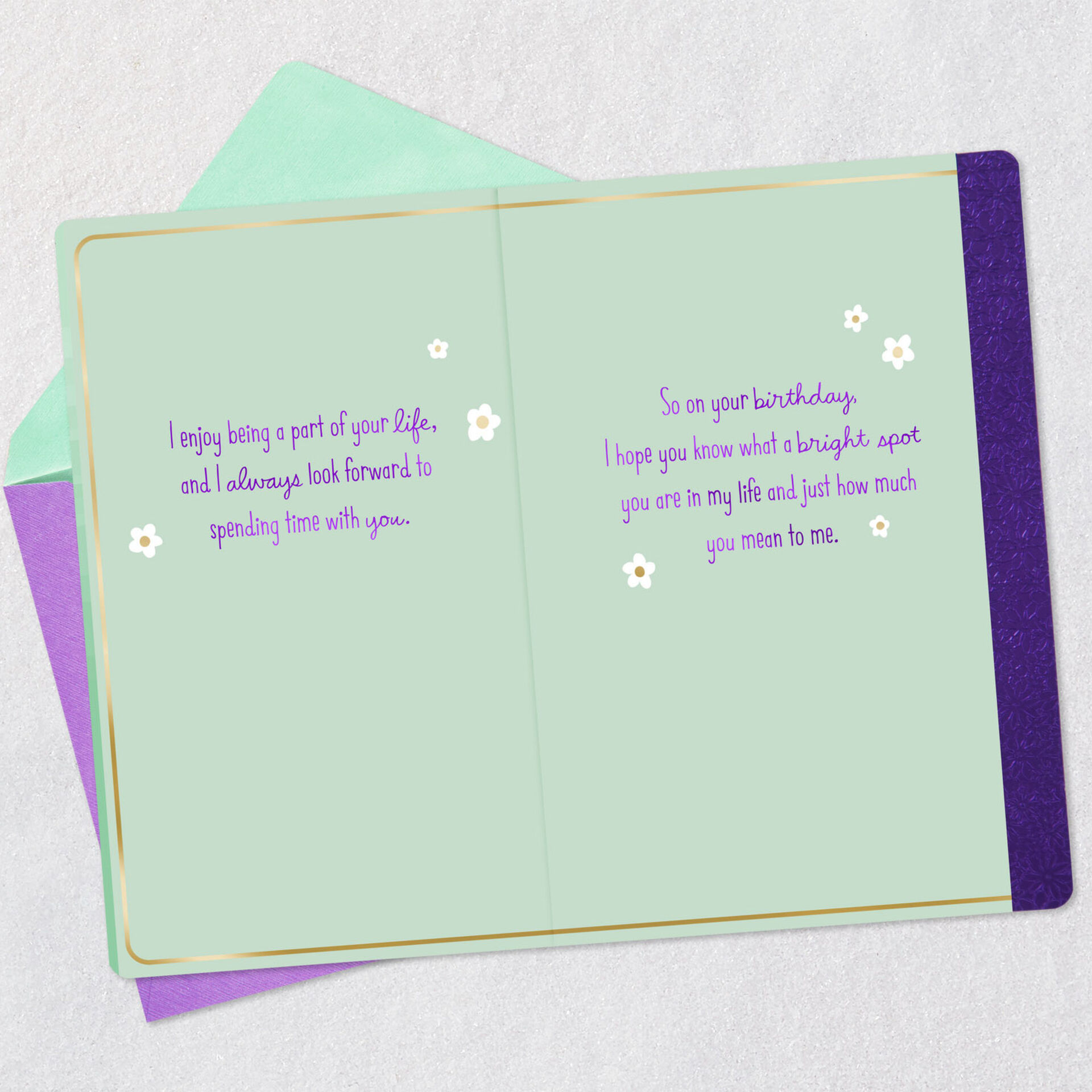 Two-Dogs-Birthday-Card-for-Like-a-Daughter_559FBD4782_04