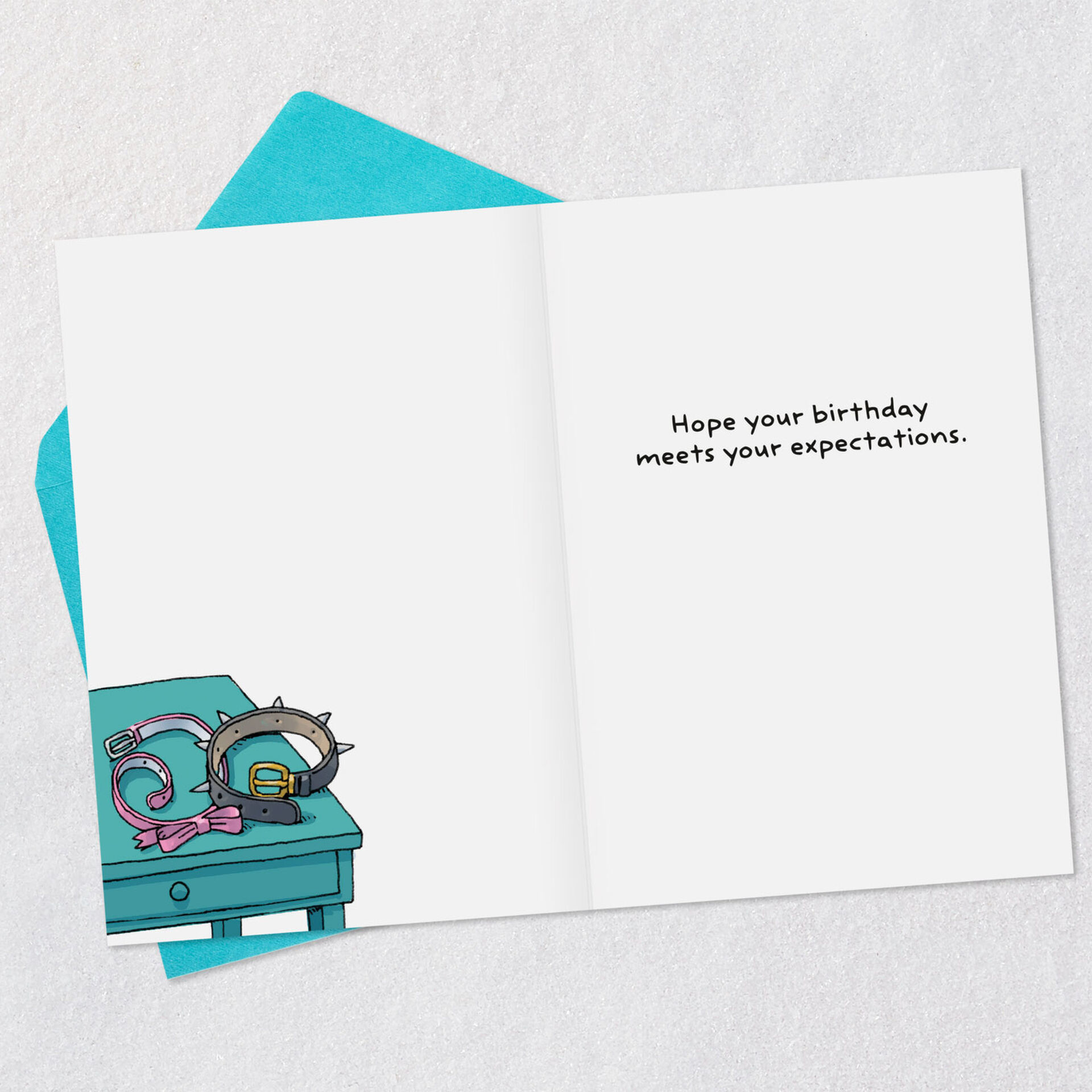 Two-Dogs-in-Bed-Together-Funny-Birthday-Card_399ZZB9871_03