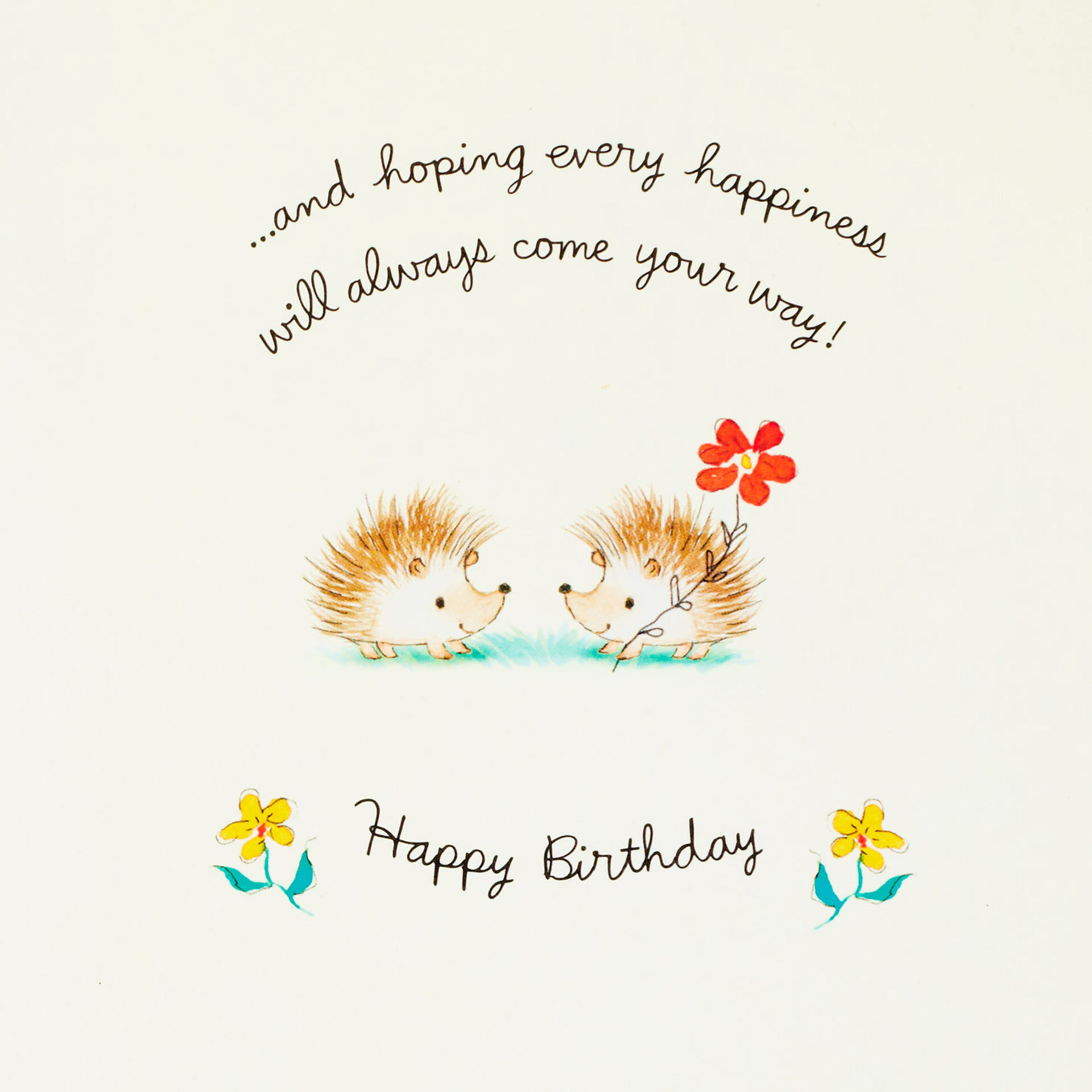 Two-Hedgehogs-Birthday-Card-for-Sister_399FBD9844_02