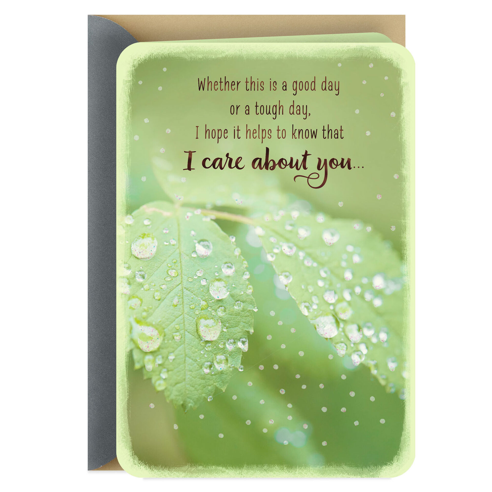 Water-Droplets-on-Green-Leaves-Encouragement-Card_299FCR1216_01