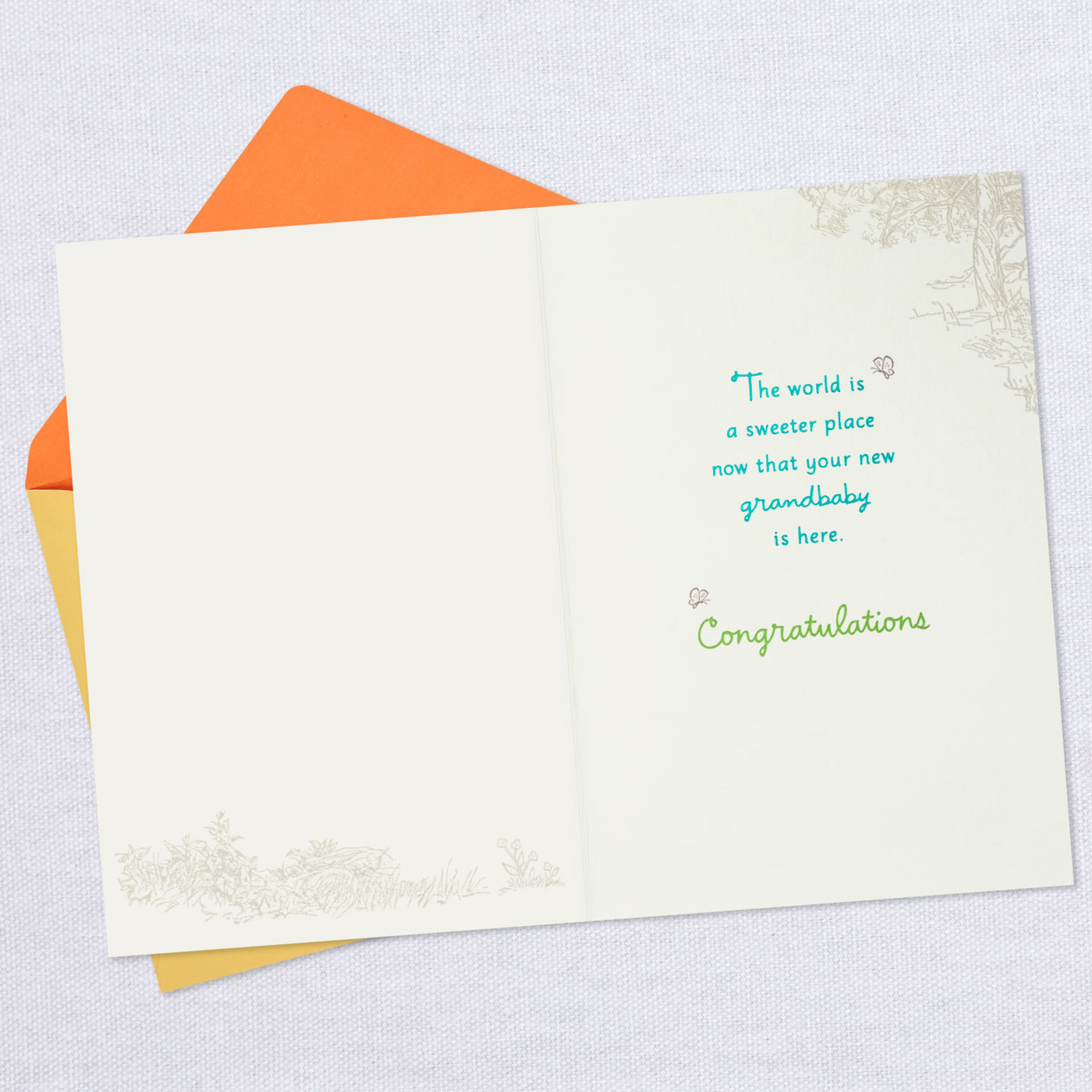 Winnie-the-Pooh-New-Baby-Card-for-Grandparents_459G2369_03