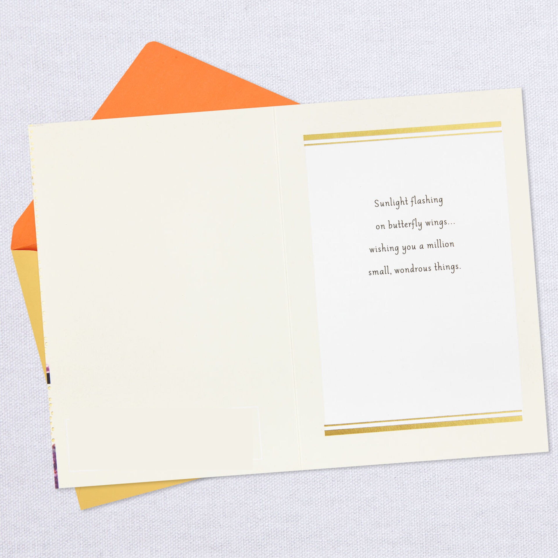 Wondrous-Marjolein-Bastin-Birthday-Card_399MB1323_04