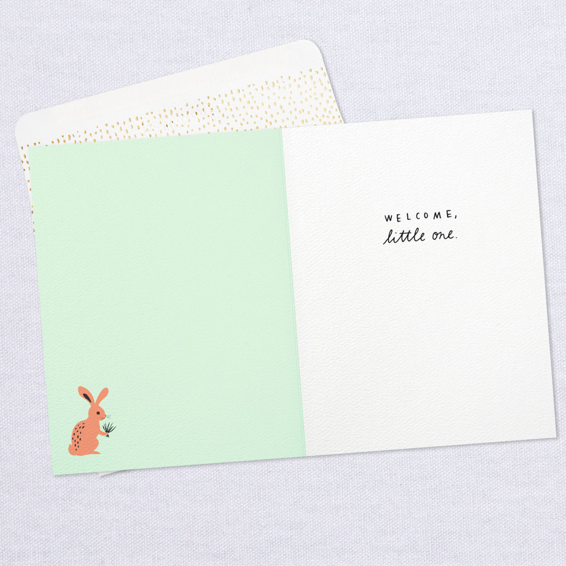 Woodland-Animals-New-Baby-Card_459HRD3005_03