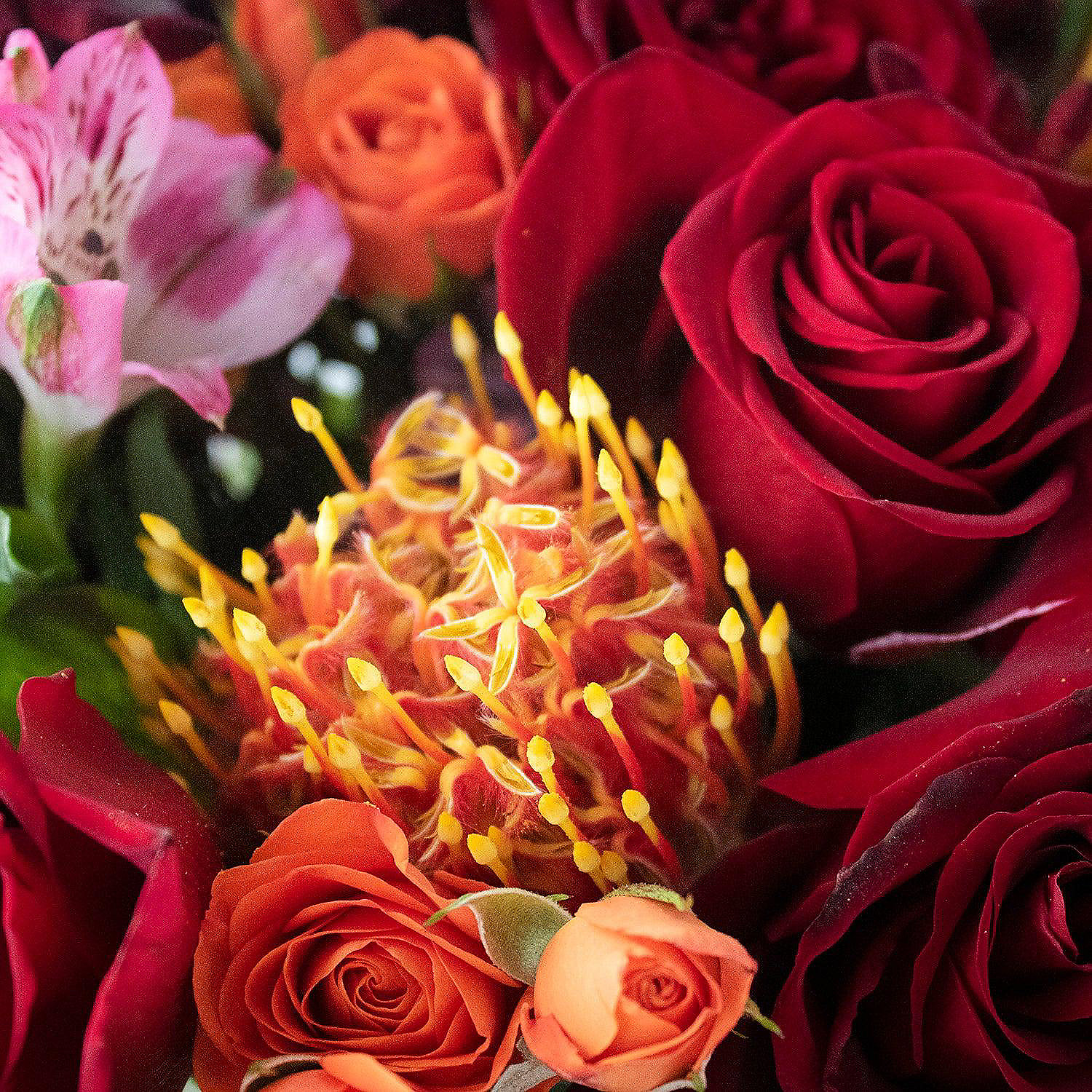 fresh-valentines-flowers-deep-romance-bouquet_14333926-a02$NOWA$