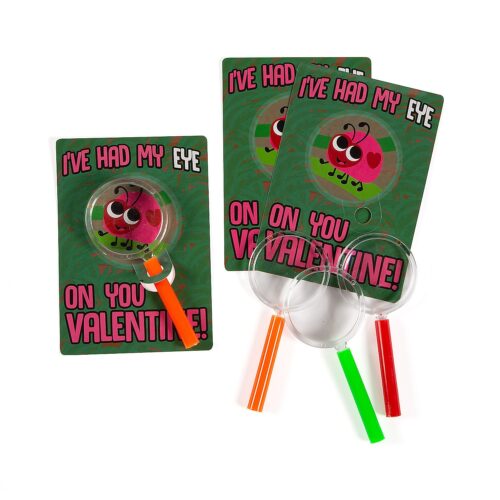 magnifying-glass-valentine-exchanges-with-ladybug-card-for-24~13961422