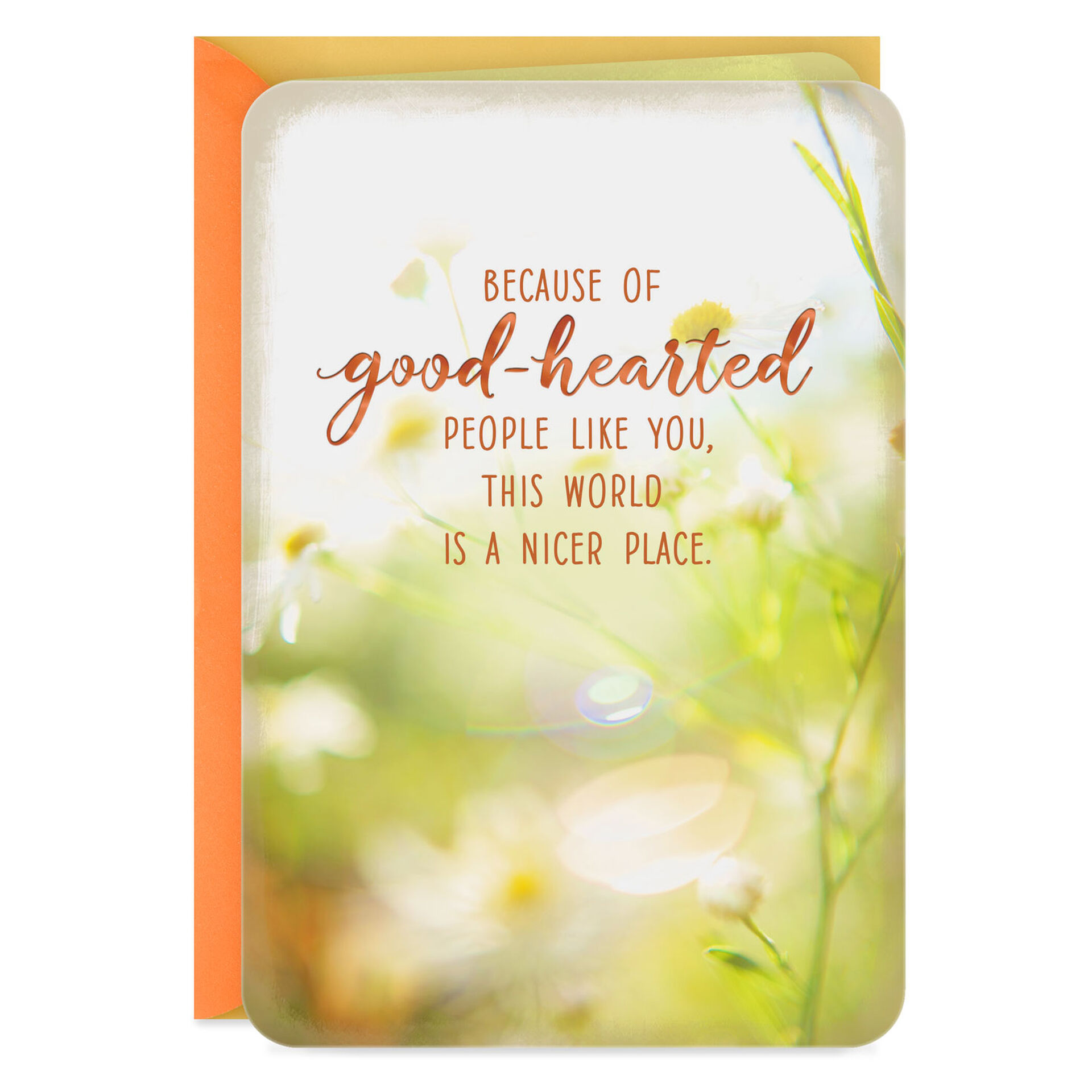 the-World-a-Nicer-Place-Thank-You-Card_299FCR1189_01