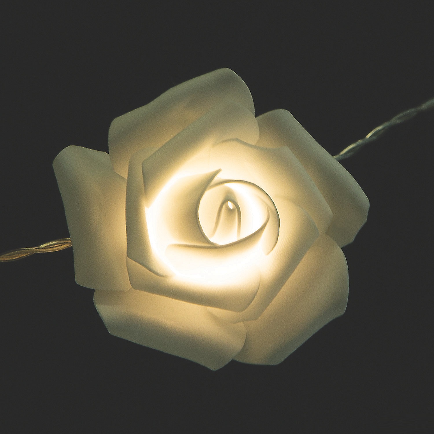 white-rose-string-lights_13937180-a01