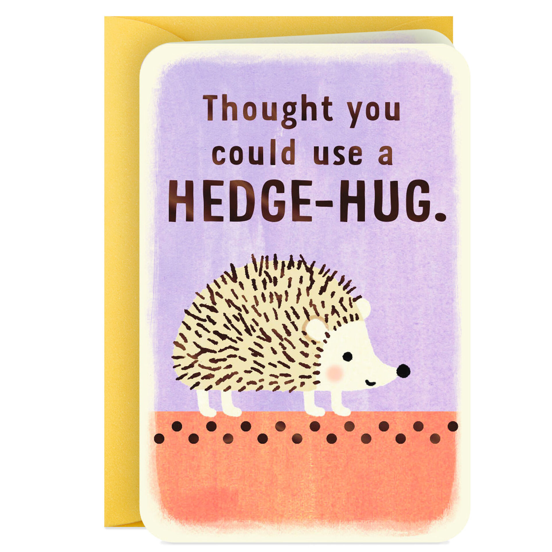 3.25-Mini-Hedgehog-Hug-Encouragement-Card-for-Kids_199LJB1277_03