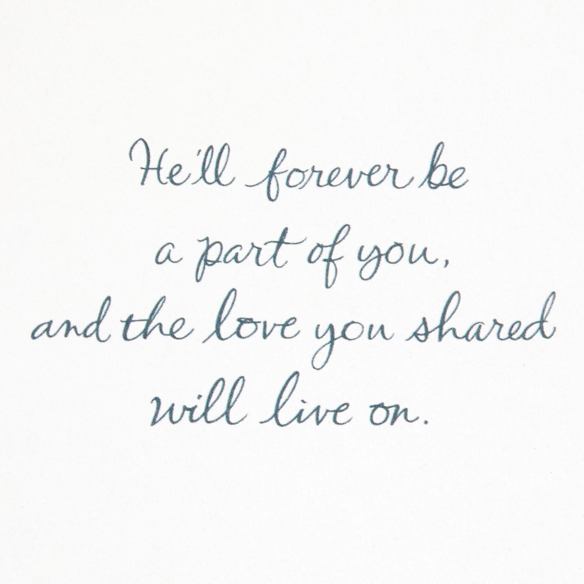 Bird-and-Berry-Branch-Loss-of-Husband-Sympathy-Card_499S2865_02