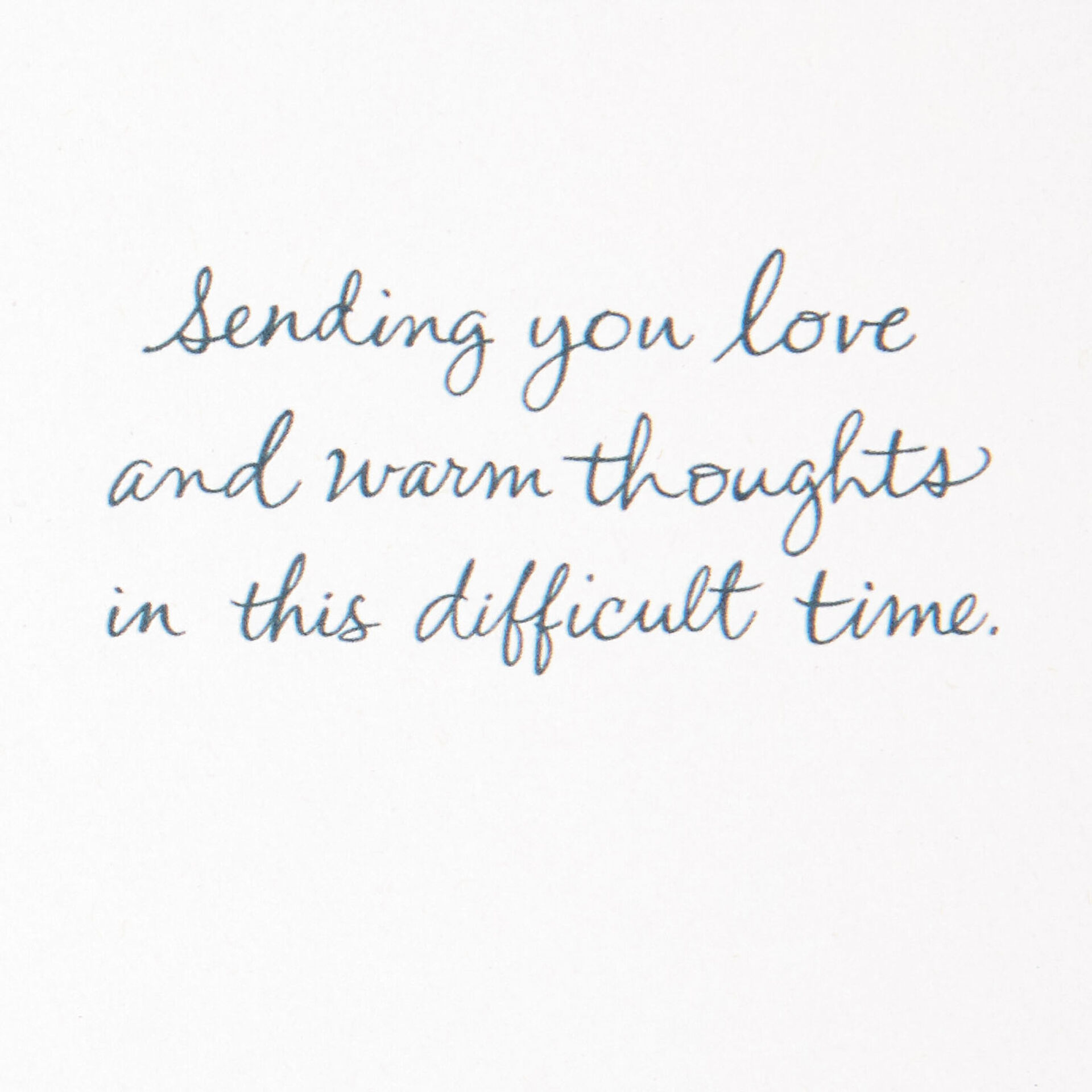 Bird-and-Berry-Branch-Loss-of-Husband-Sympathy-Card_499S2865_03