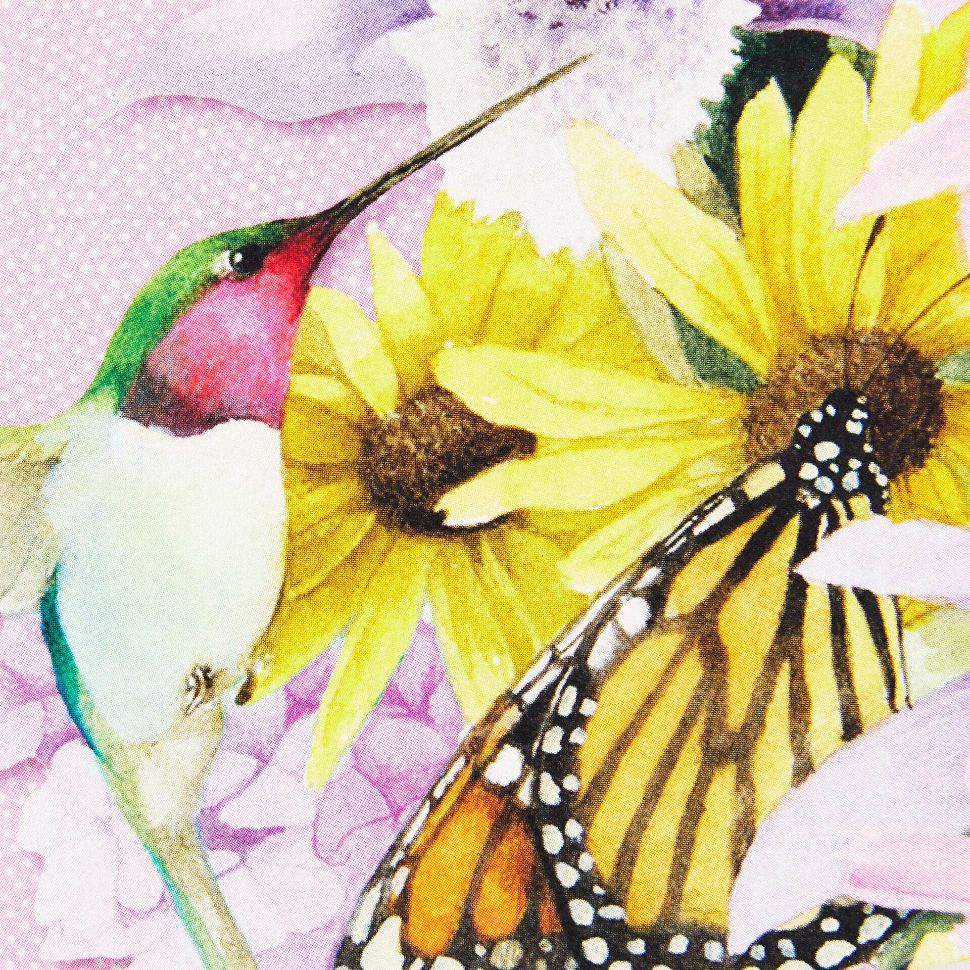 Bird-and-Butterfly-Boxed-Blank-Note-Cards-Multipack_1NOT1516_03