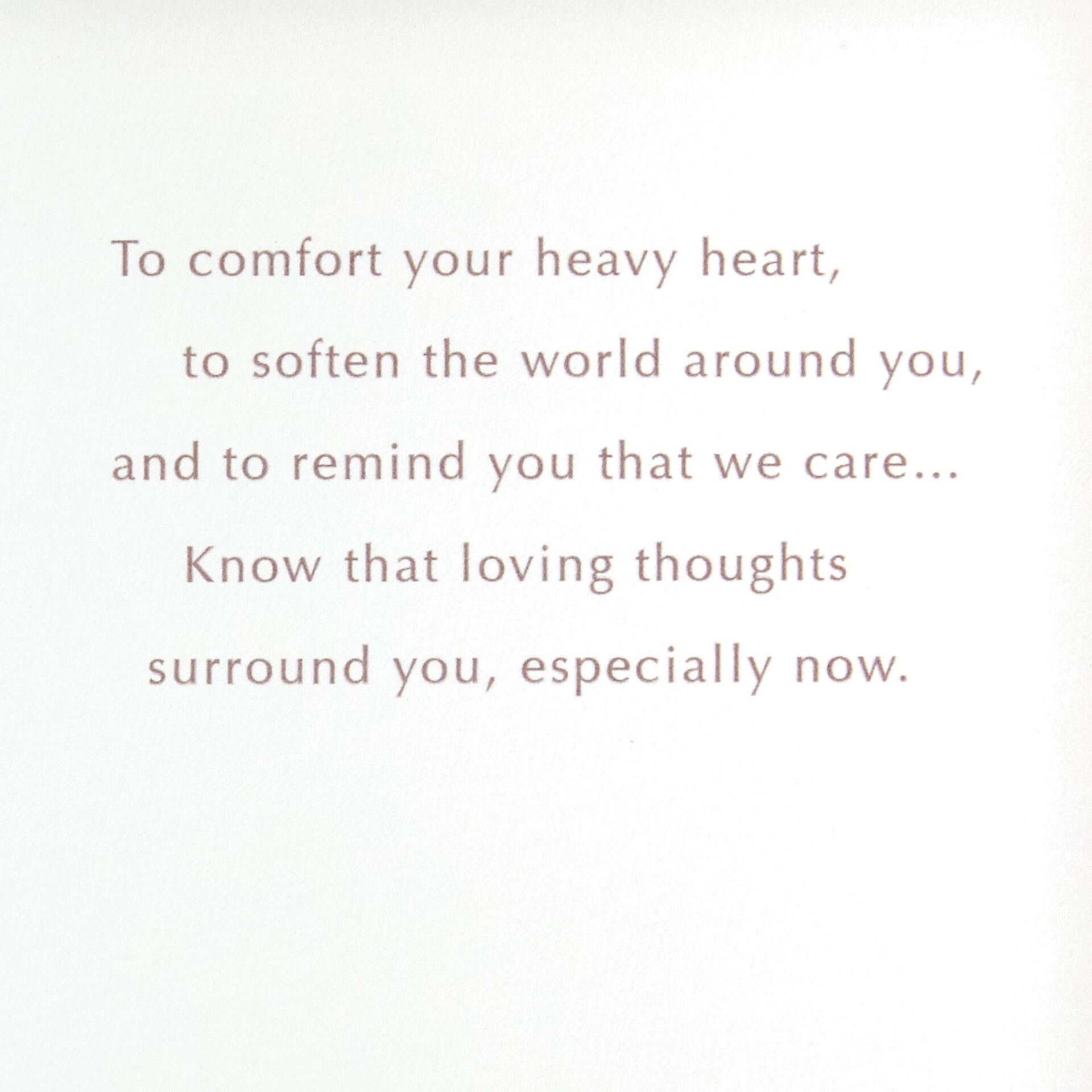 Blooming-Lily-Flower-Sympathy-Card_499S2645_02