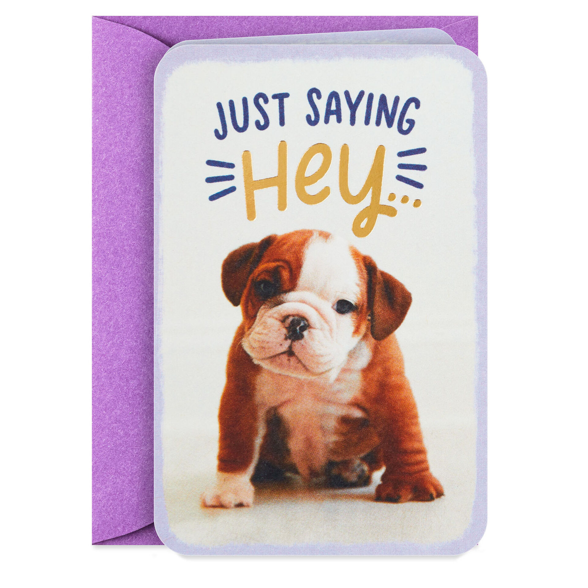 Bulldog-Puppy-Mini-Thinking-of-You-Card_199LJB1809_03
