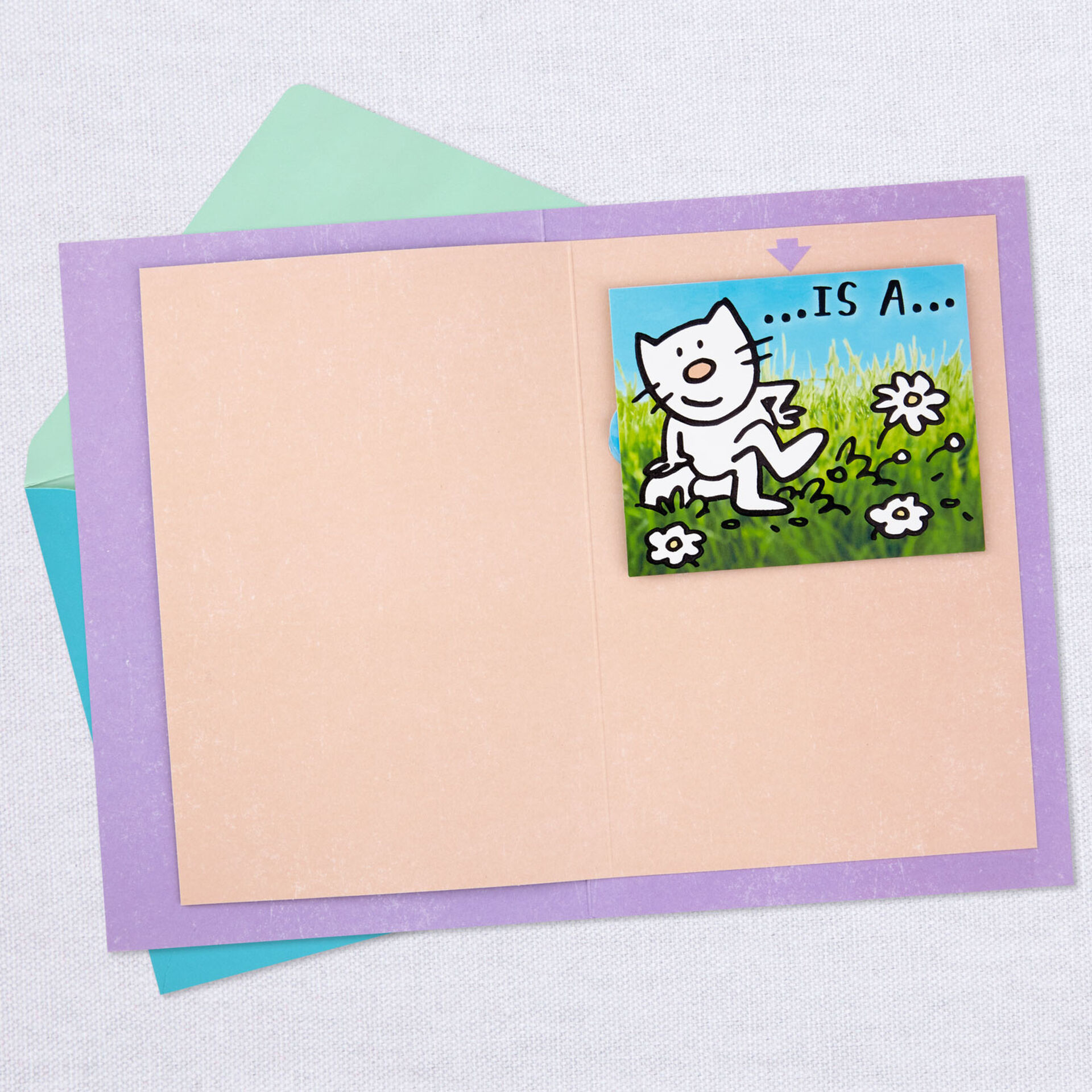 Cat-and-Blue-Sky-MultiCard-PopUp-Get-Well-Card_499C3269_04