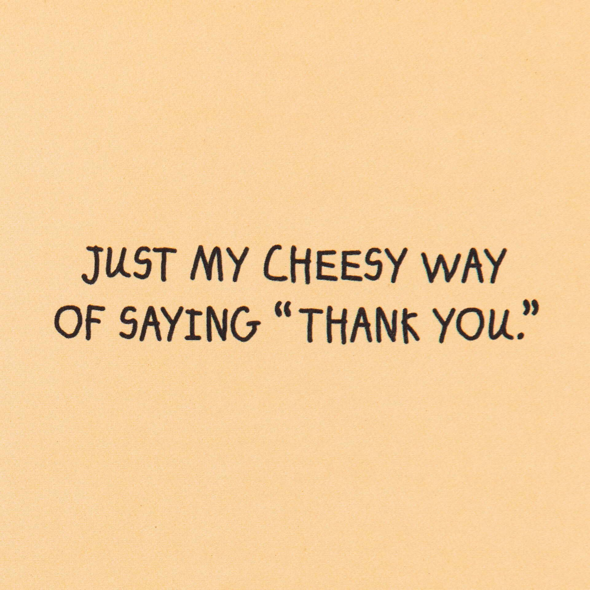 Cheese-and-Grater-Pun-Funny-ThankYou-Card_399ZZS8240_02