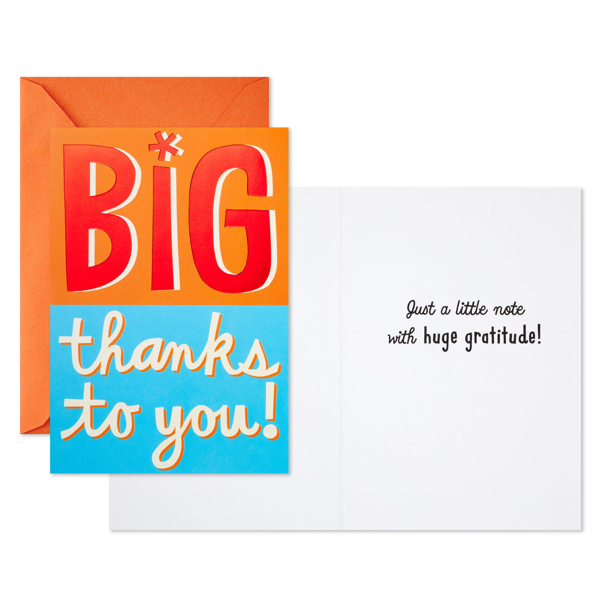 Color-Block-Thank-You-Cards-Pack_799WWZ1026_03