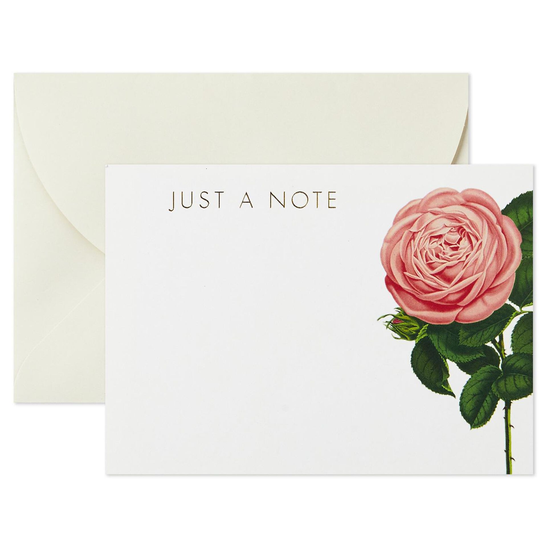 Cream-and-Pink-Roses-Blank-Flat-Note-Cards-With-Caddy-Box-of-40-root-1199SOM1312_SOM1312_03.jpg_Source_Image