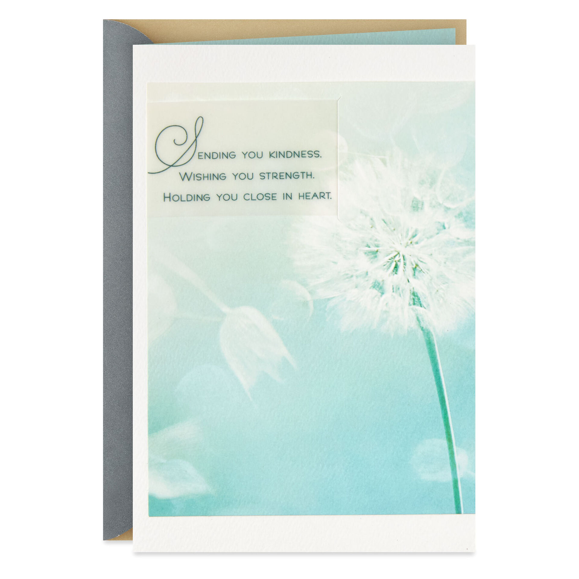Dandelion-Fluff-Sympathy-Card_499S2343_01