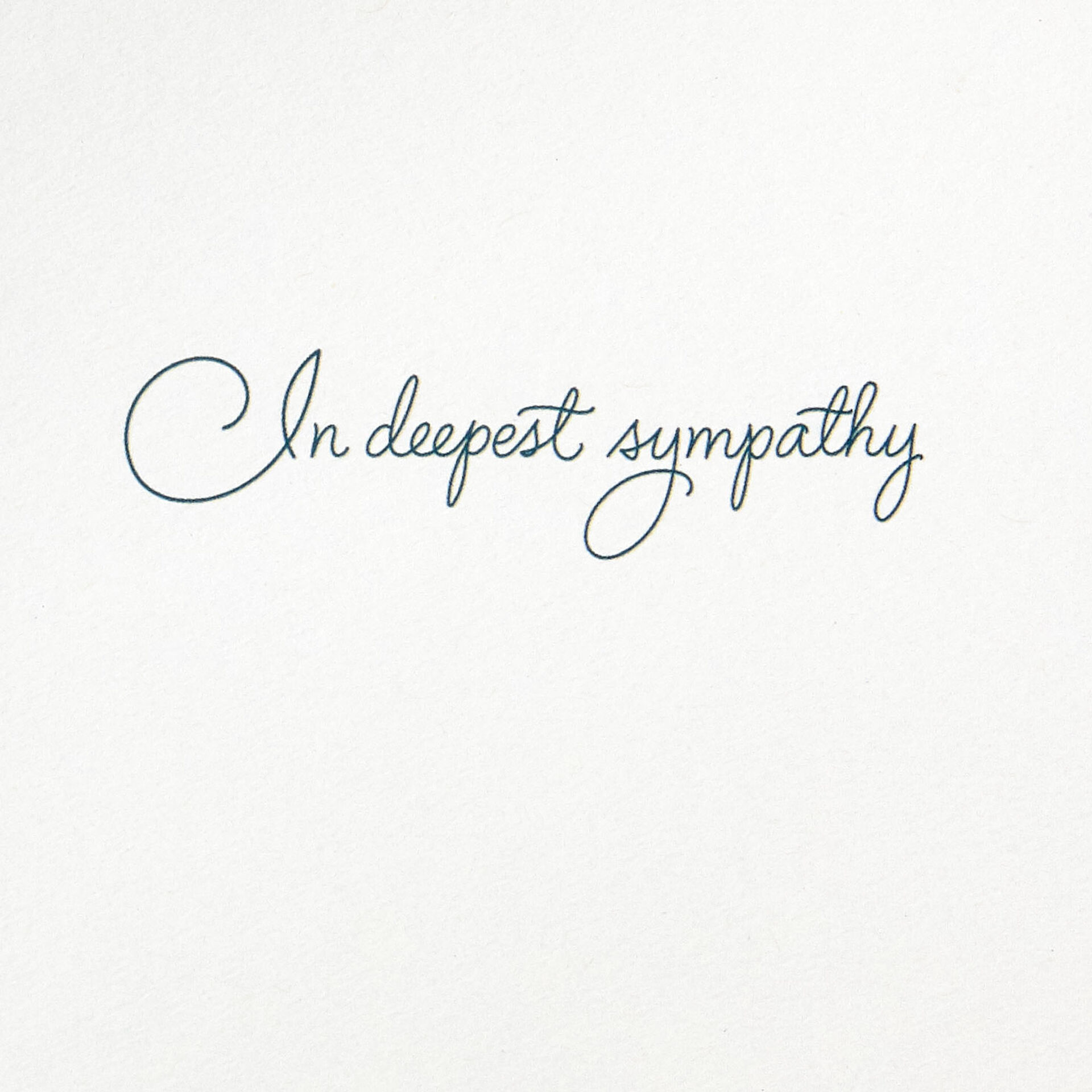 Dandelion-Fluff-Sympathy-Card_499S2343_02