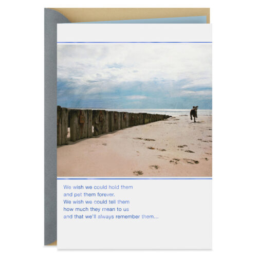 Dog-Running-on-Beach-Loss-of-Pet-Card_399S2627_01
