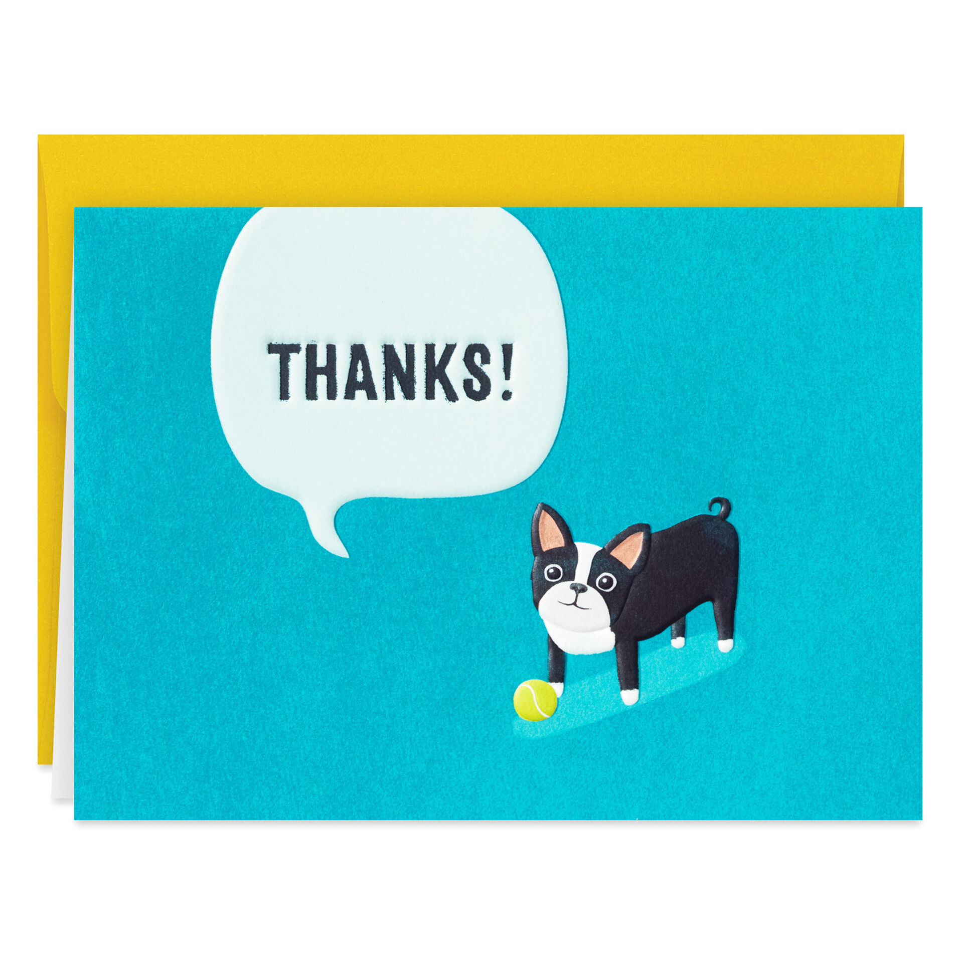 Dog-With-Ball-Boxed-Blank-ThankYou-Notes-Multipack_1TYN2449_02