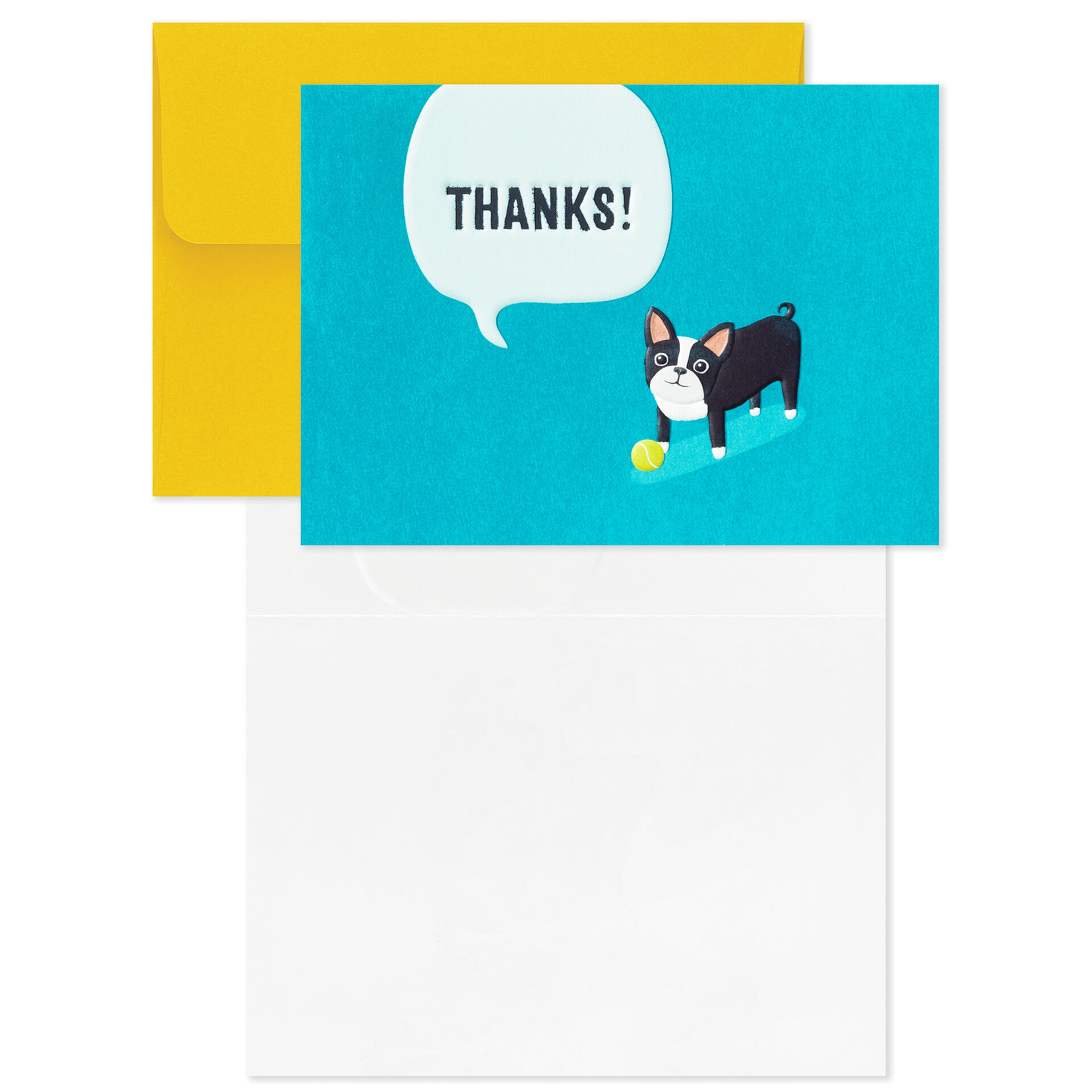 Dog-With-Ball-Boxed-Blank-ThankYou-Notes-Multipack_1TYN2449_03