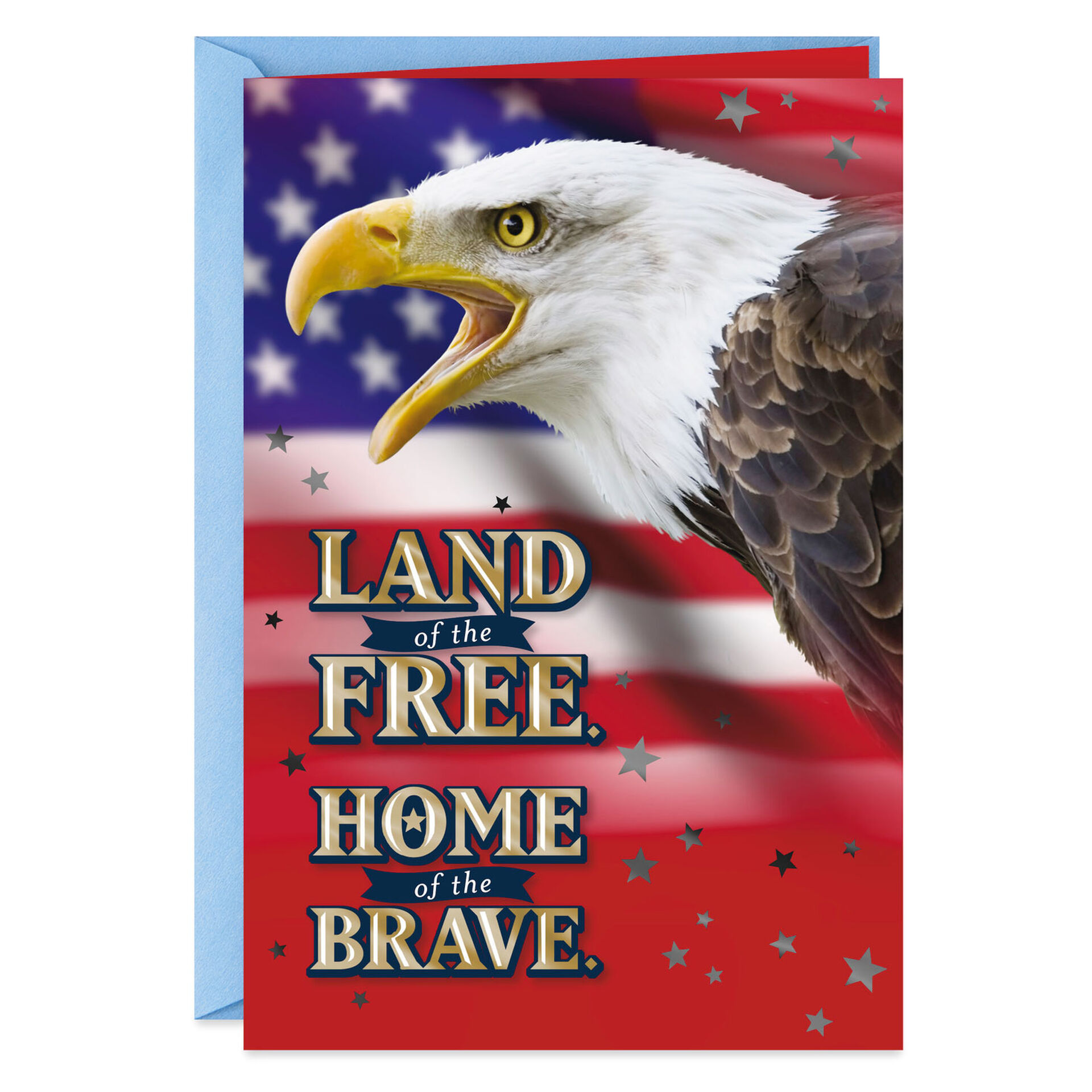 Eagle-Patriotic-Thank-You-Veterans-Day-Card_200VTN6009_01