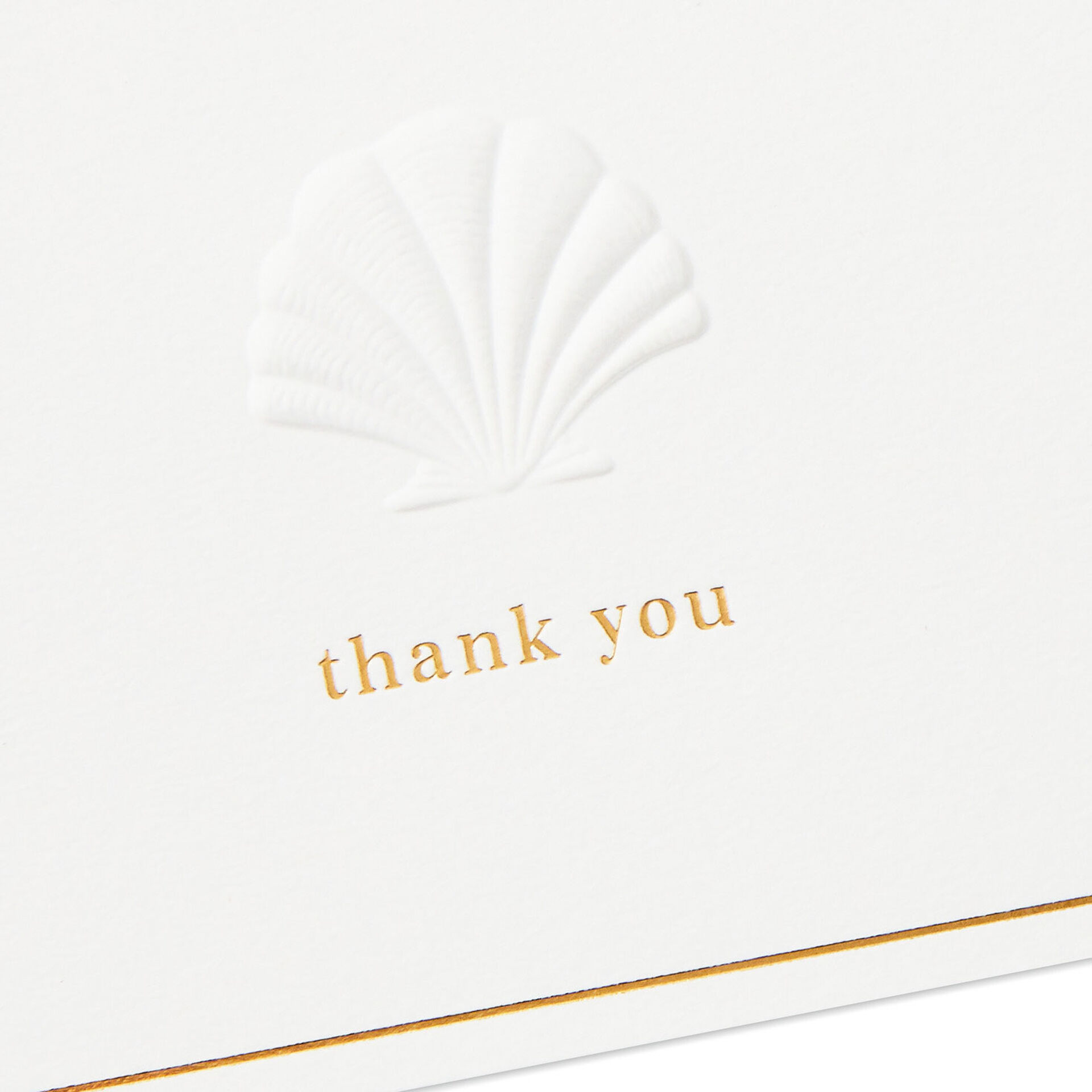 Embossed-Shell-Blank-ThankYou-Notes_1199TYN2422_03
