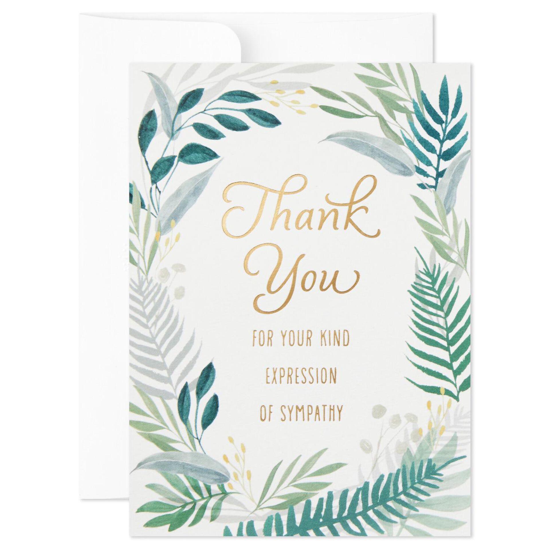Fern-Border-Blank-Sympathy-Thank-You-Notes-Box-of-20-root-999TYS1015_TYS1015_02.jpg_Source_Image