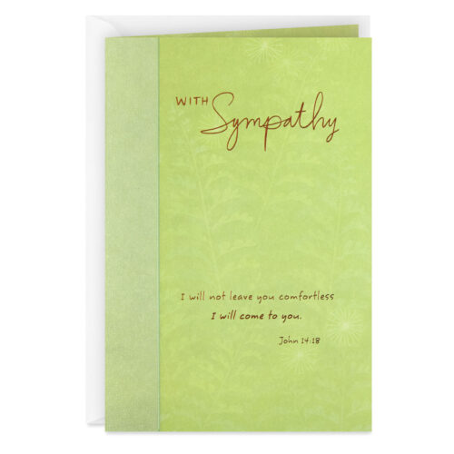 Fern-Branches-Religious-Sympathy-Card_499CEY2274_01