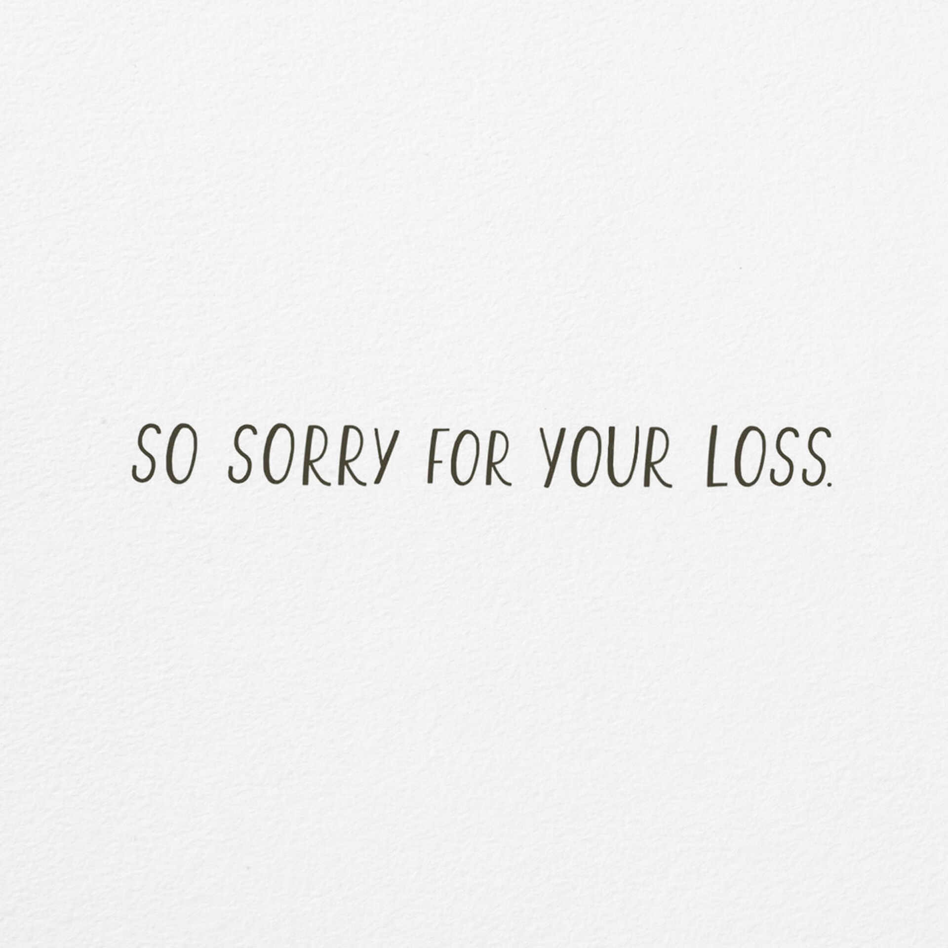 Ferns-Grasses-and-Pods-in-Vase-Sympathy-Card_399YYS1438_02