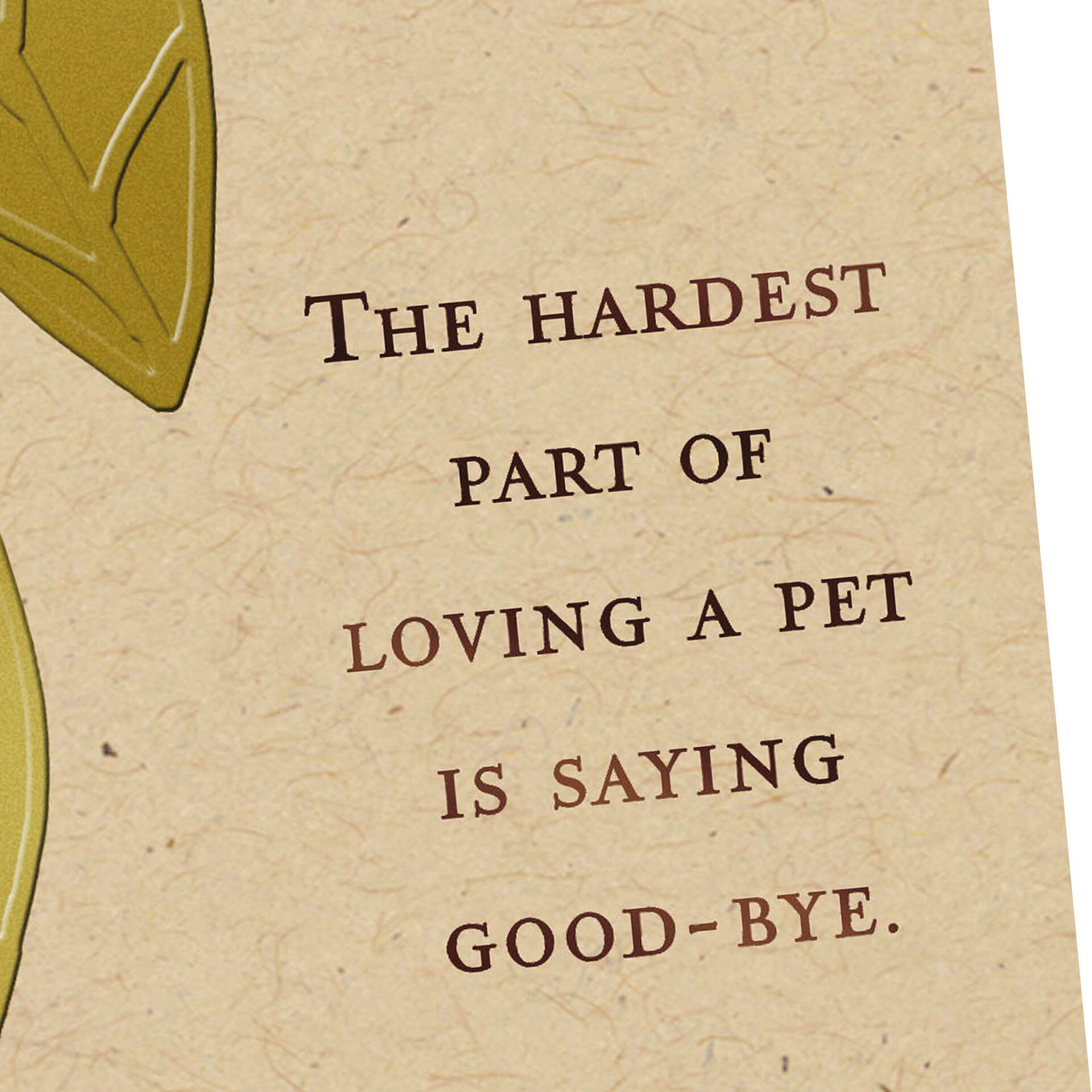 Good-Bye-Sympathy-Card-Loss-of-Pet_299S2980_02