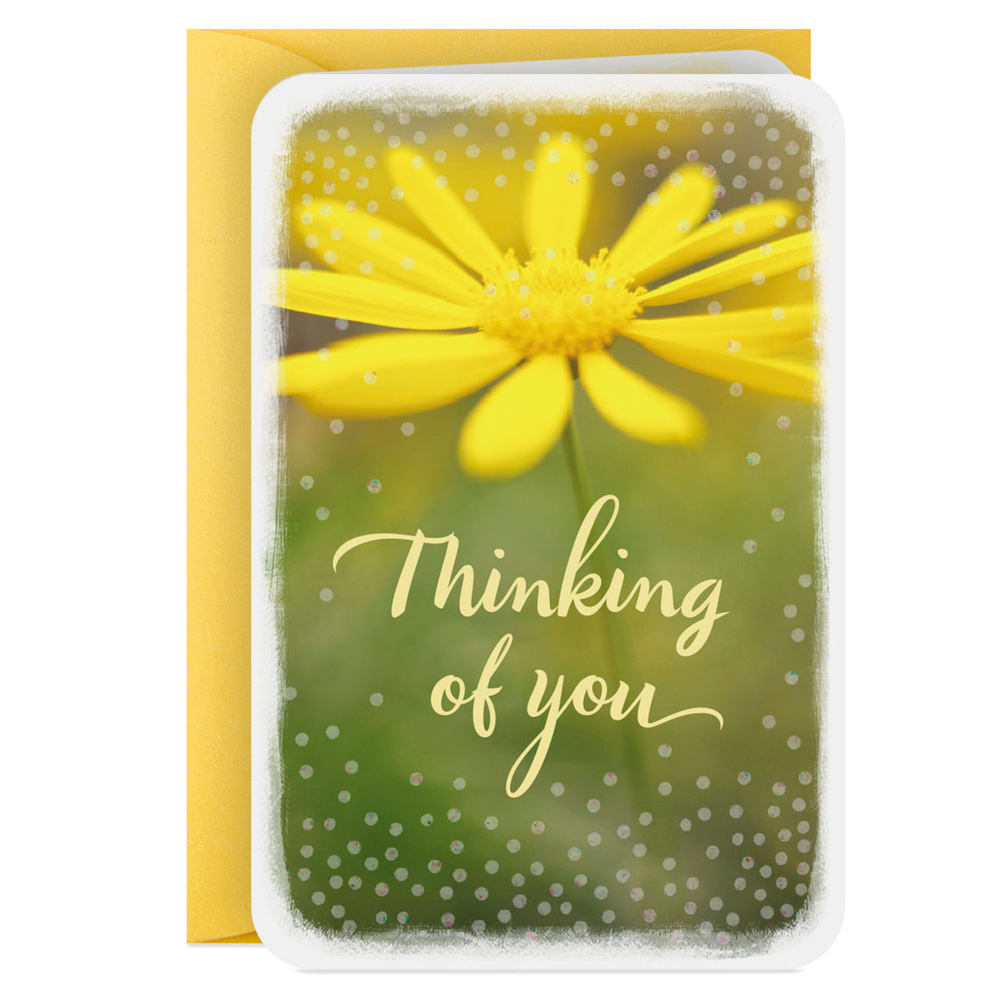 Good-Day-Flower-Mini-Thinking-of-You-Card_199LJB1234_03