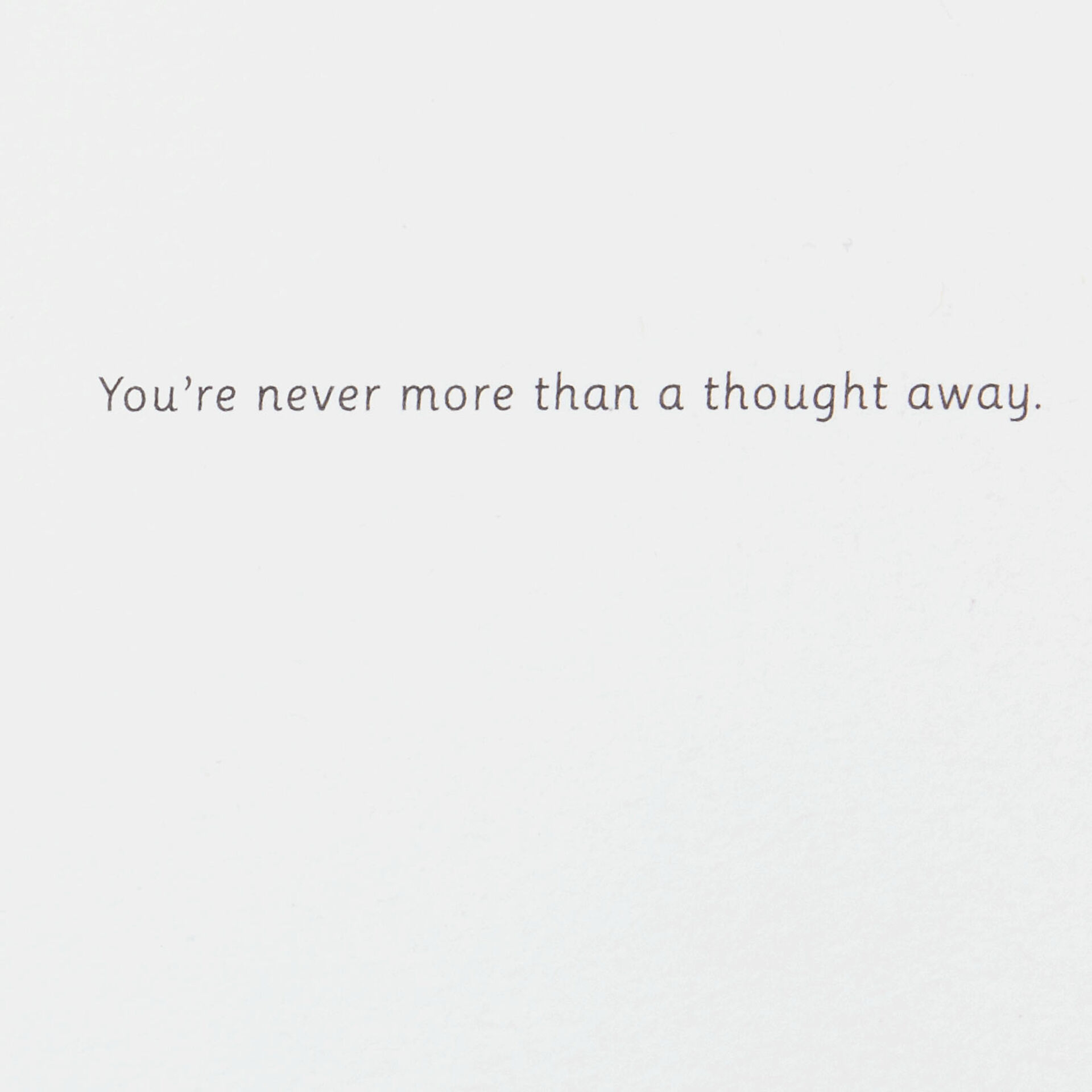 House-Plants-Window-&-Cat-Thinking-of-You-Card_699LAD9528_02