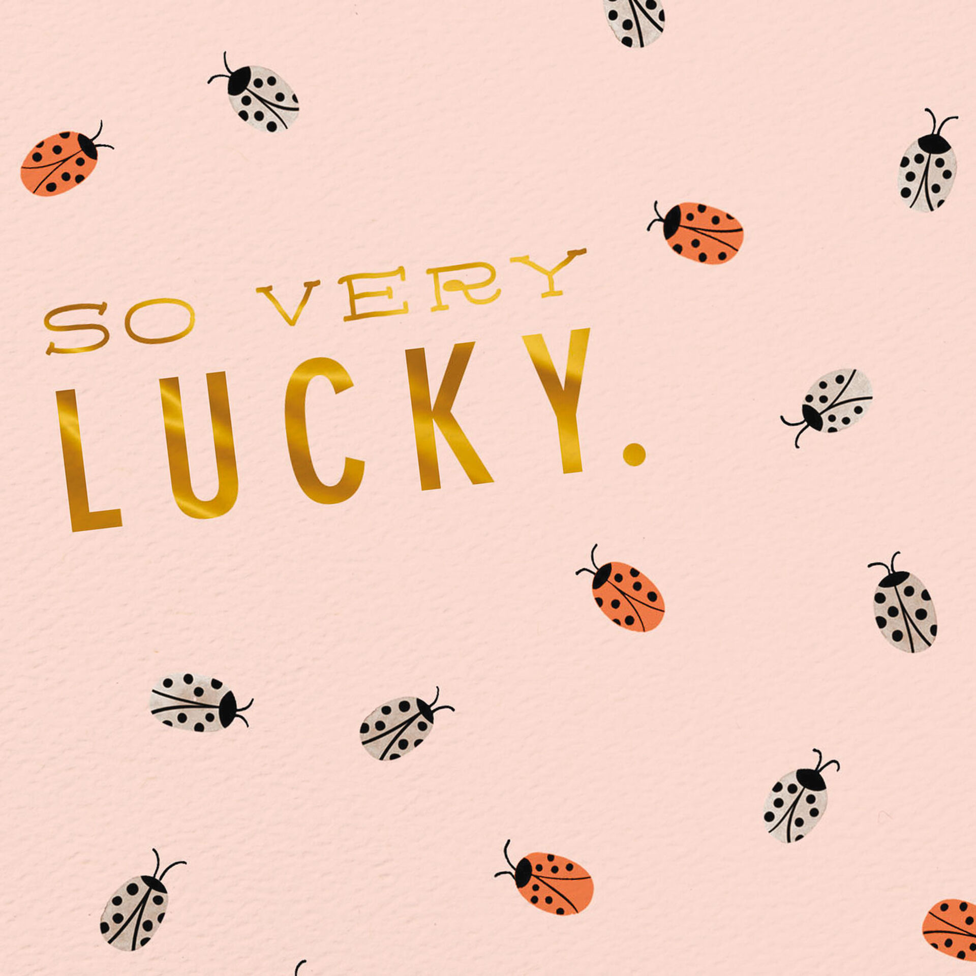 Ladybugs-So-Very-Lucky-Thank-You-Card_459HRD3011_04