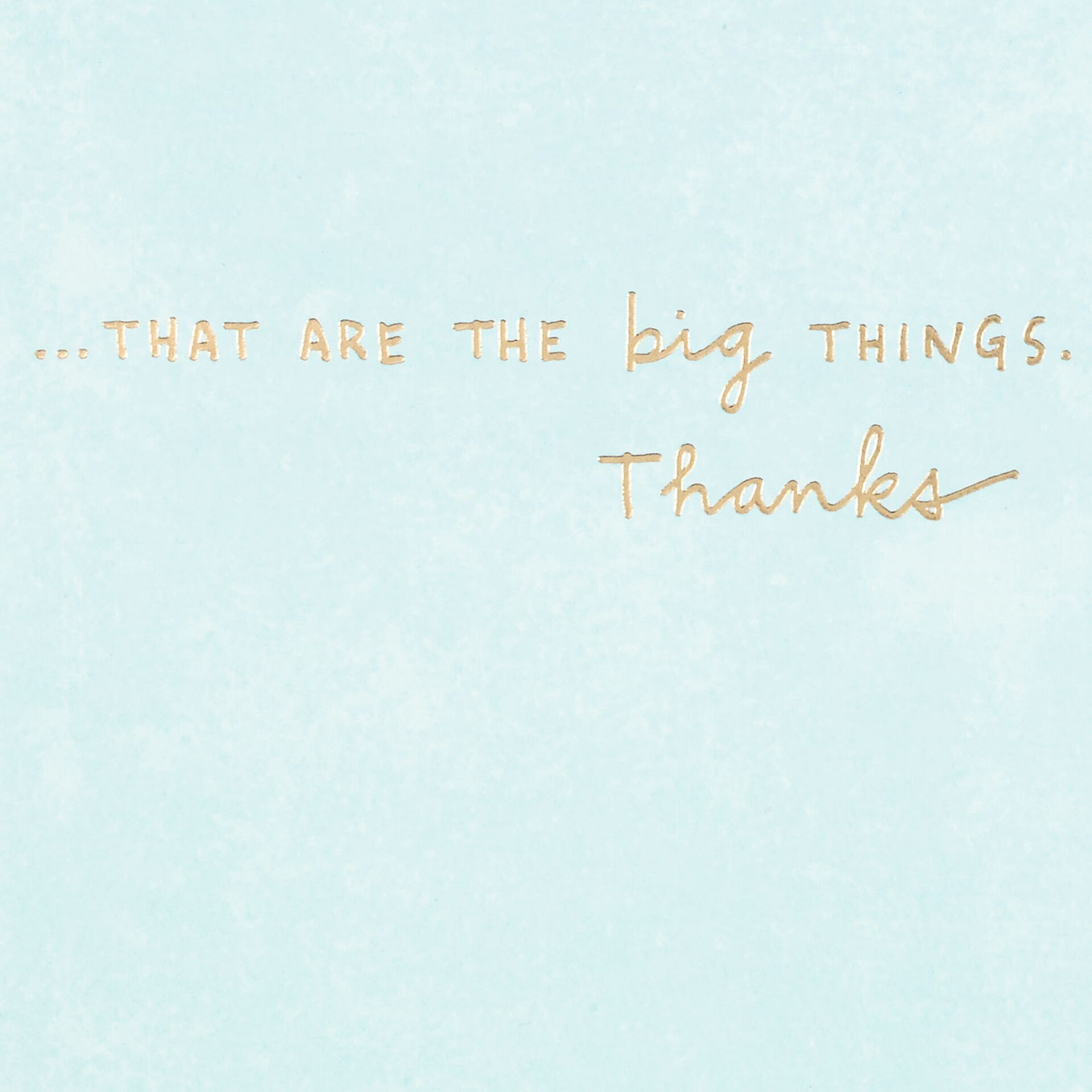 Little-Things-Thank-You-Card_499HRD3074_02