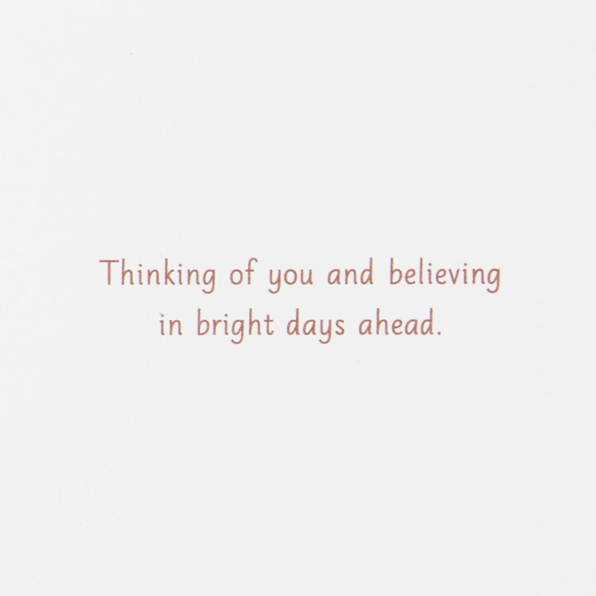 Marjolein-Bastin-Butterfly-on-Allium-Encouragement-Card_459C3156_02