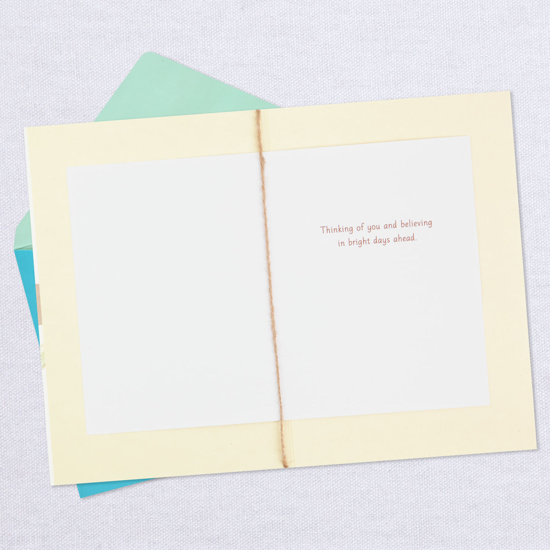 Marjolein-Bastin-Butterfly-on-Allium-Encouragement-Card_459C3156_03