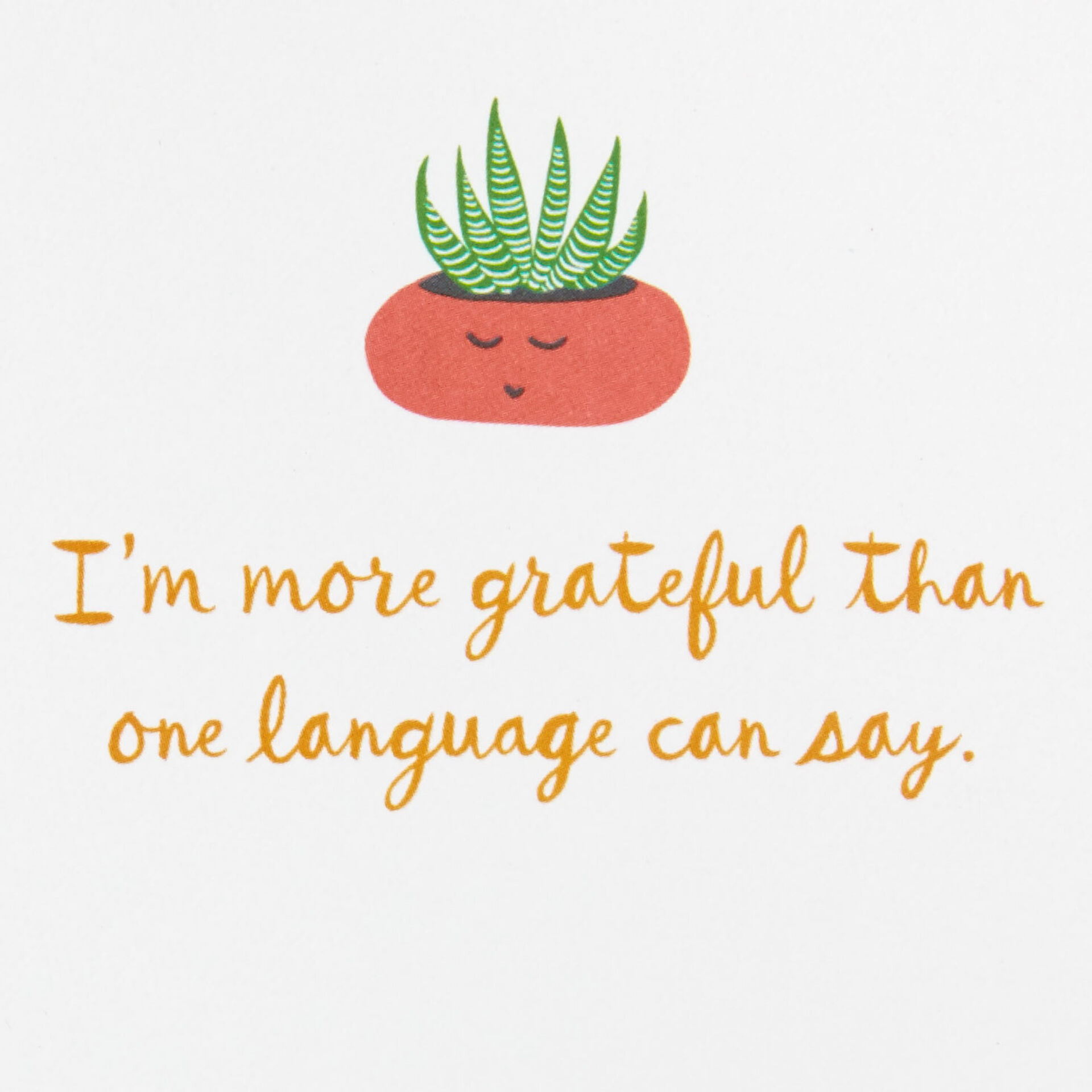 Merci-Thanks-Gracias-ThankYou-Card_499T2120_02