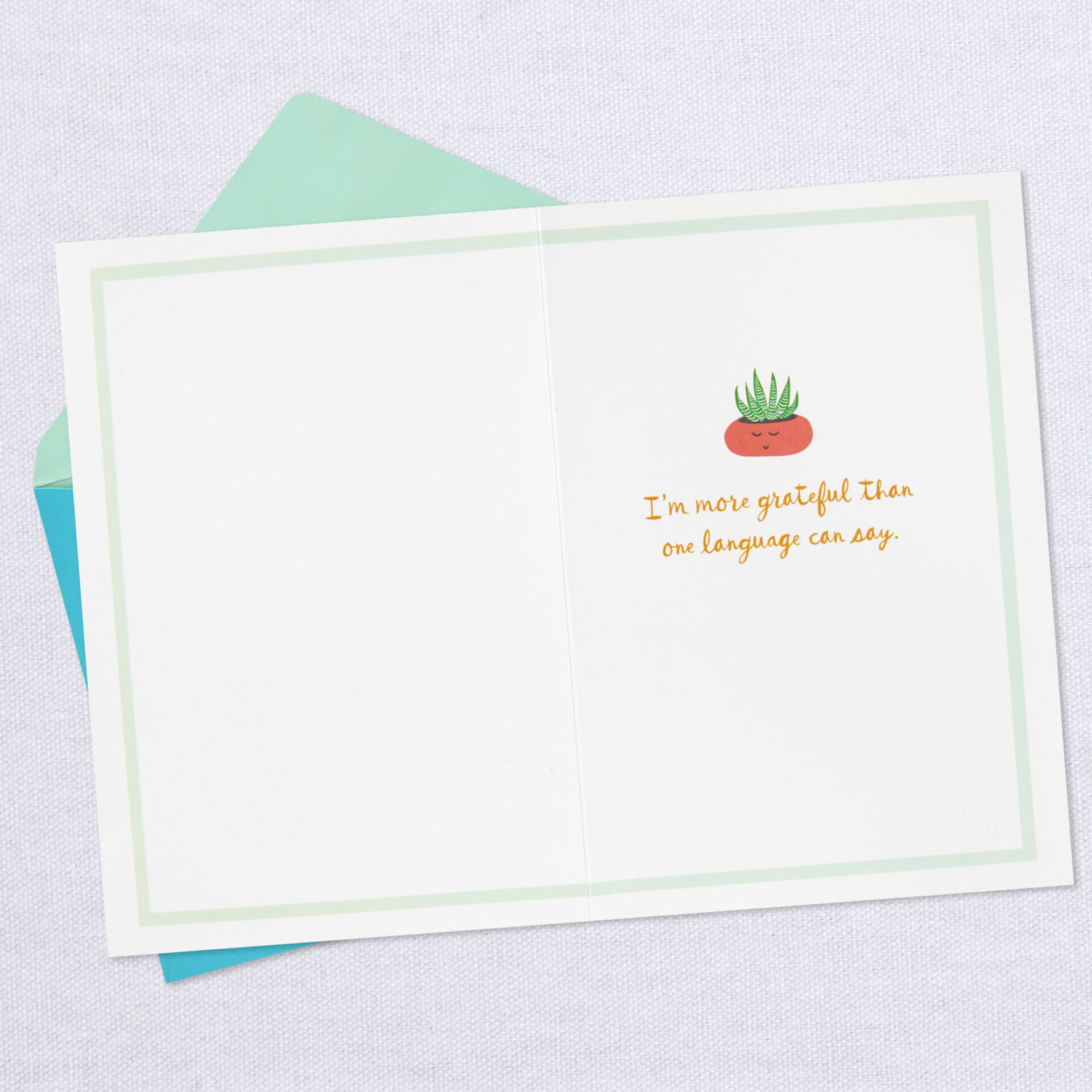 Merci-Thanks-Gracias-ThankYou-Card_499T2120_03