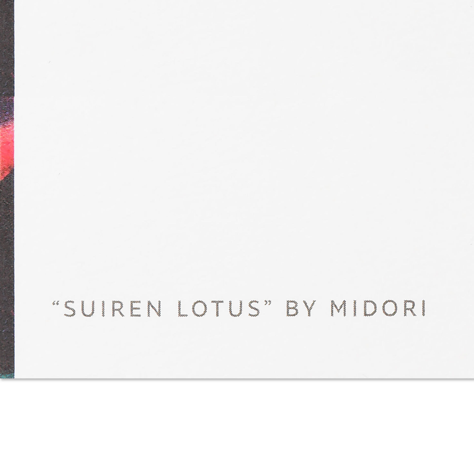 Midori-Suiren-Lotus-Painting-Thinking-of-You-Card_399C8368_03