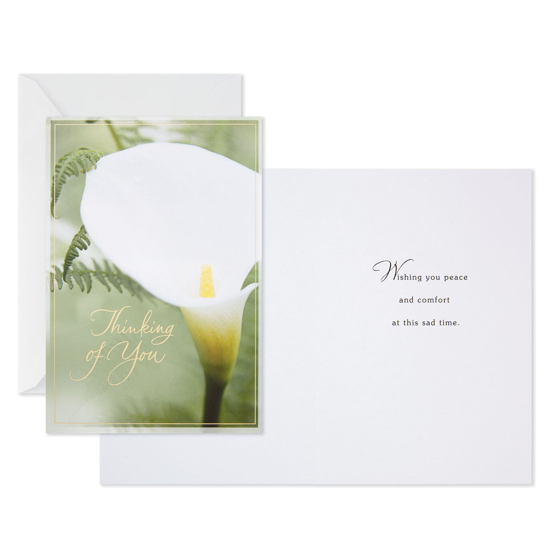 Nature-Photos-Bulk-Pack-Assorted-Sympathy-Cards_799WWZ1043_02